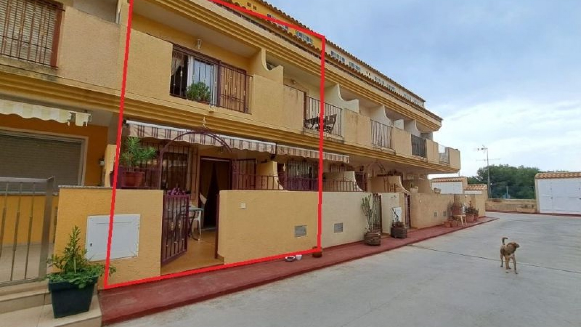 Wederverkoop - Herenhuis - Playa Flamenca - amapolas