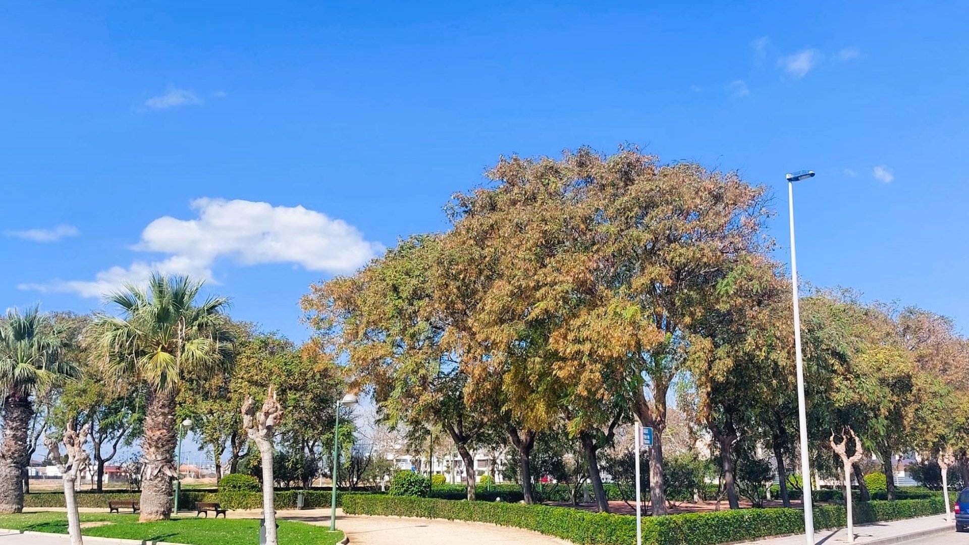 Wederverkoop - Herenhuis - Torre de la Horadada - beachside torre de la horadada