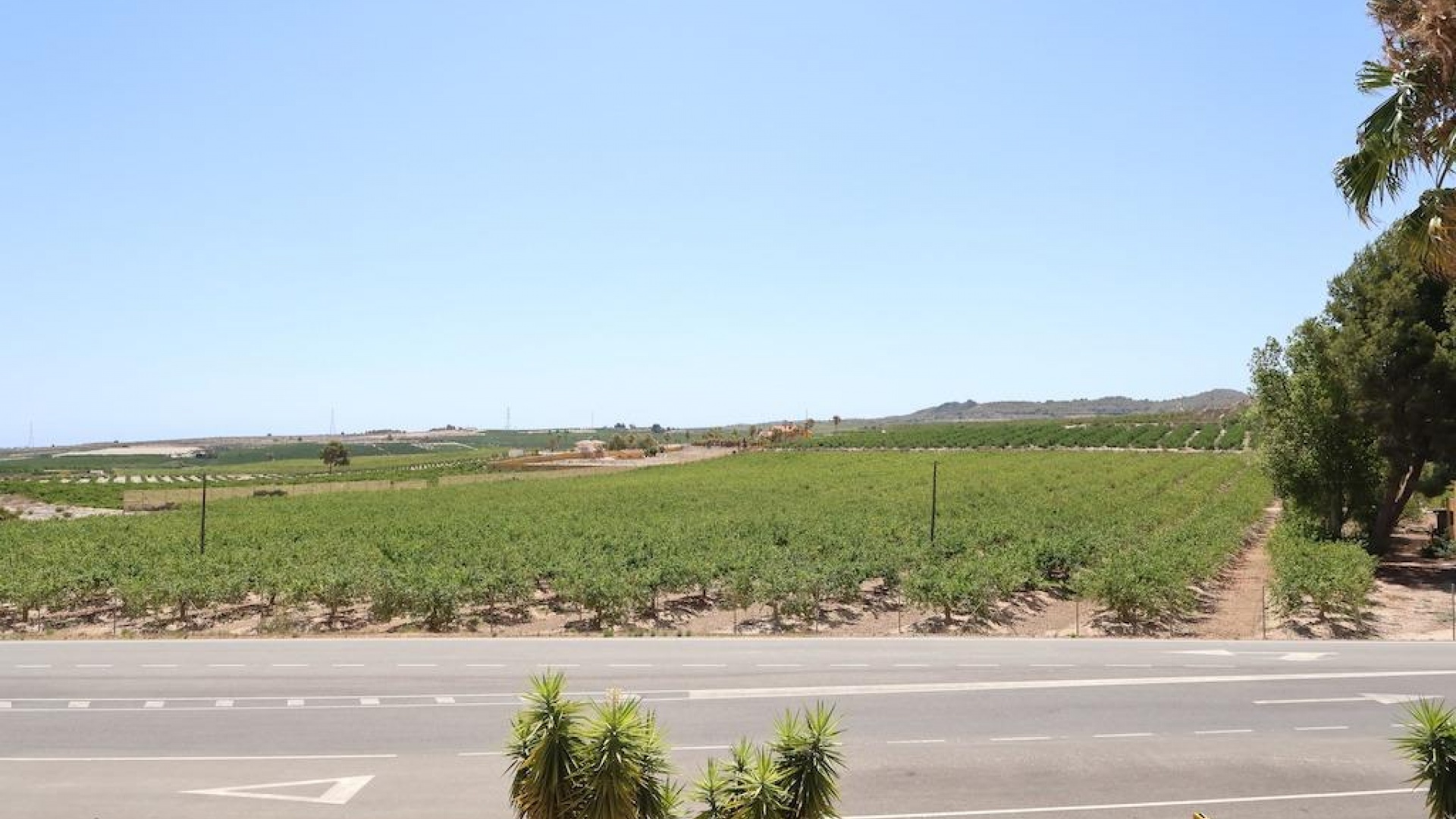 Wederverkoop - Hotel - San Miguel de Salinas - Urbanizaciones