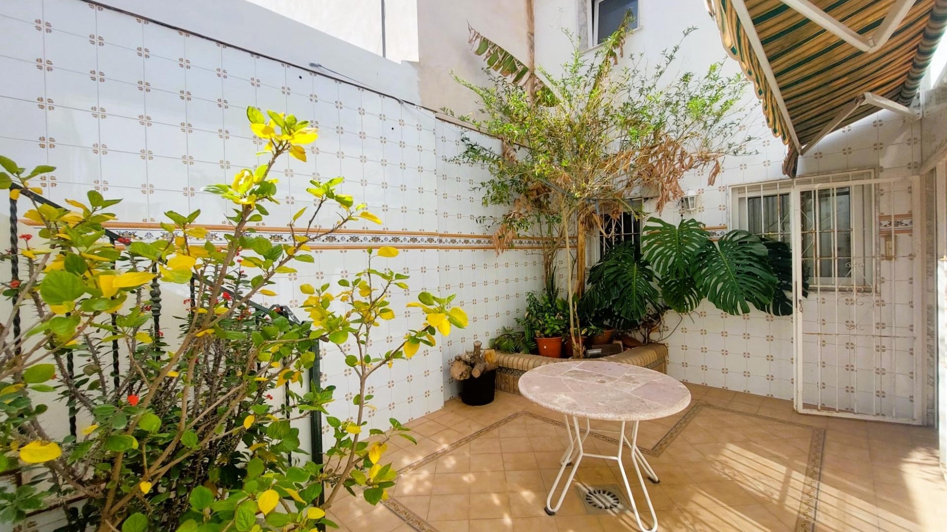 Wederverkoop - Huis - Torrevieja - Centro