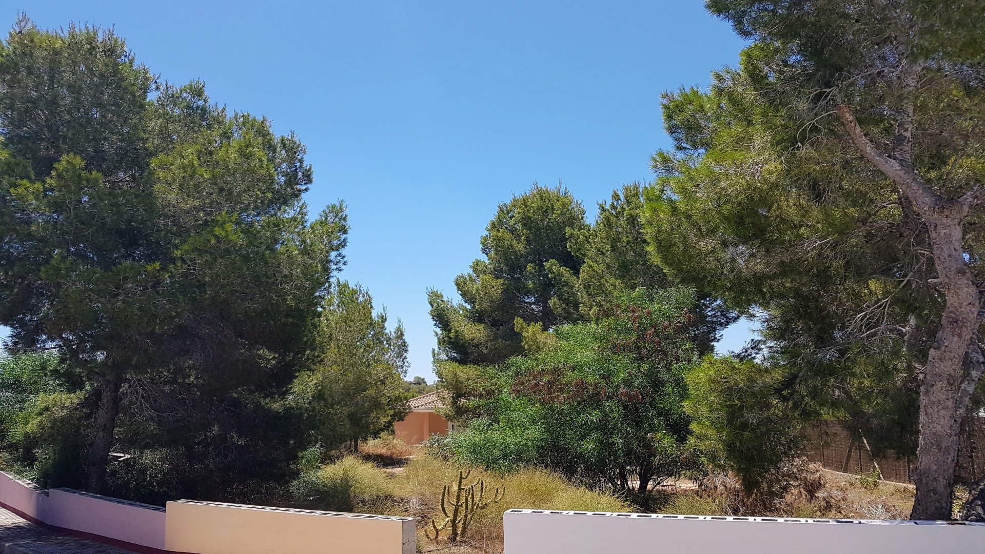 Wederverkoop - Land - Algorfa - Montemar