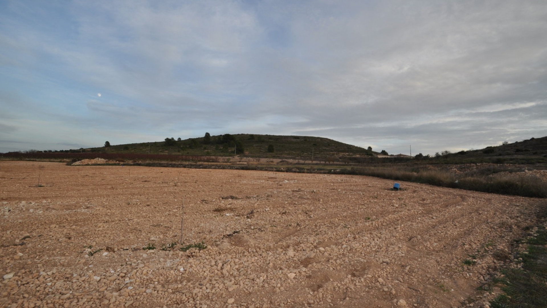 Wederverkoop - Land - Jumilla - Cañada del Trigo