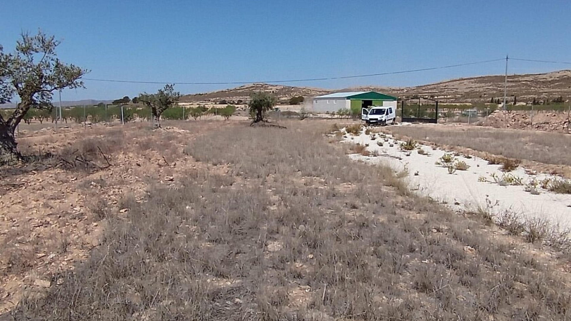 Wederverkoop - Land - Jumilla - Torre del Rico