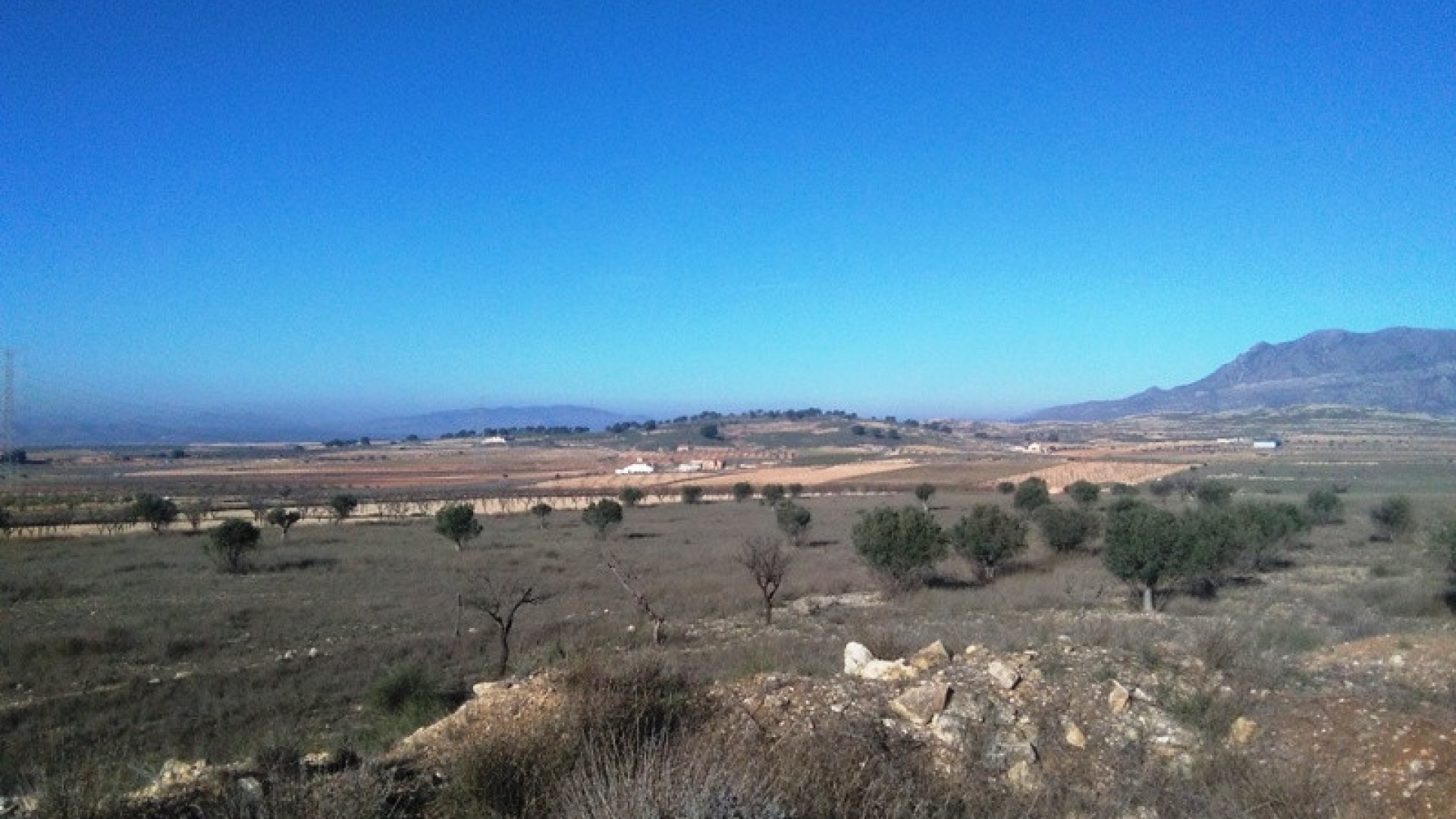 Wederverkoop - Land - Jumilla - Torre del Rico