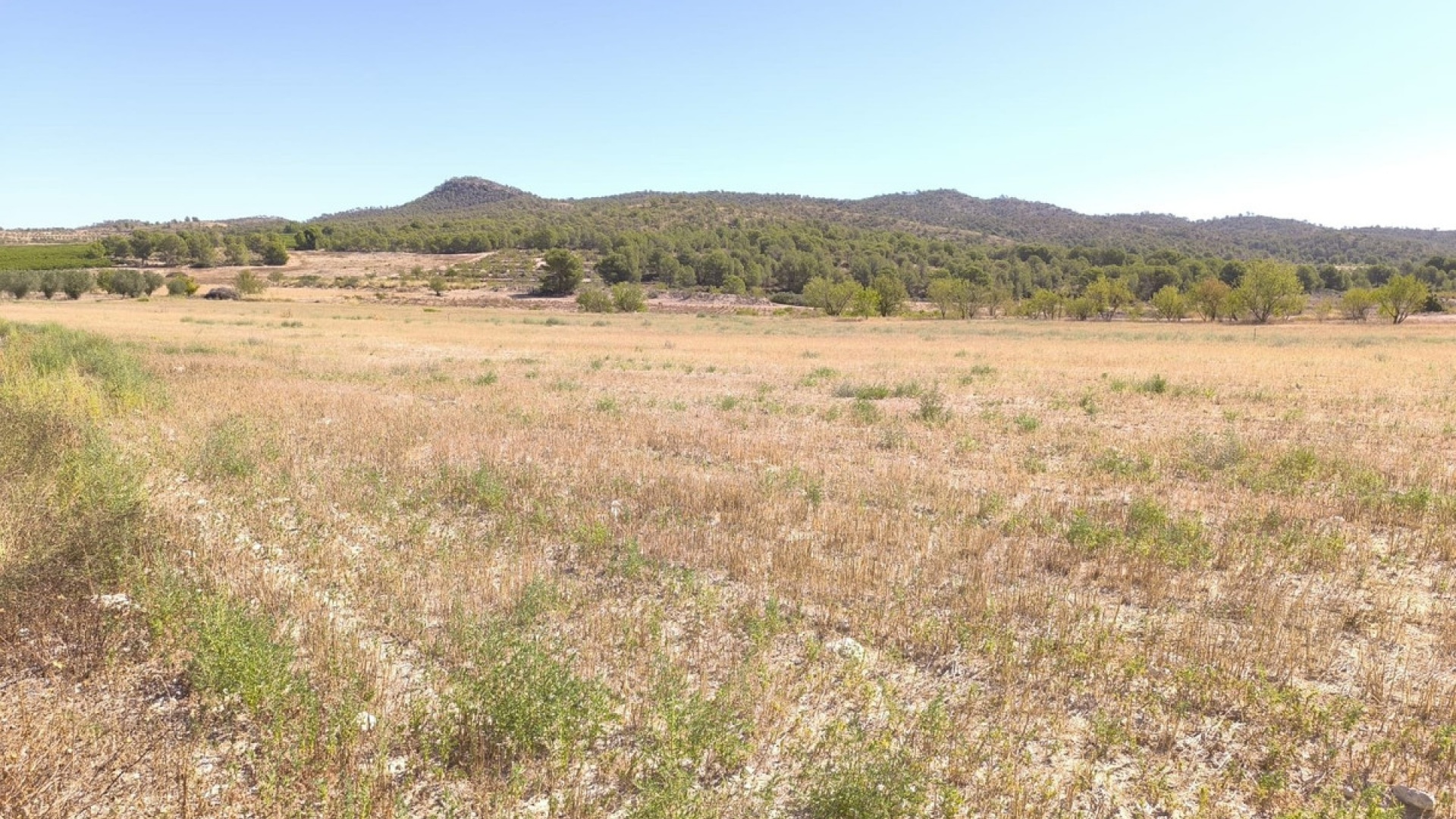 Wederverkoop - Land - Monóvar - Monòver - Monóvar - Monòver Centro