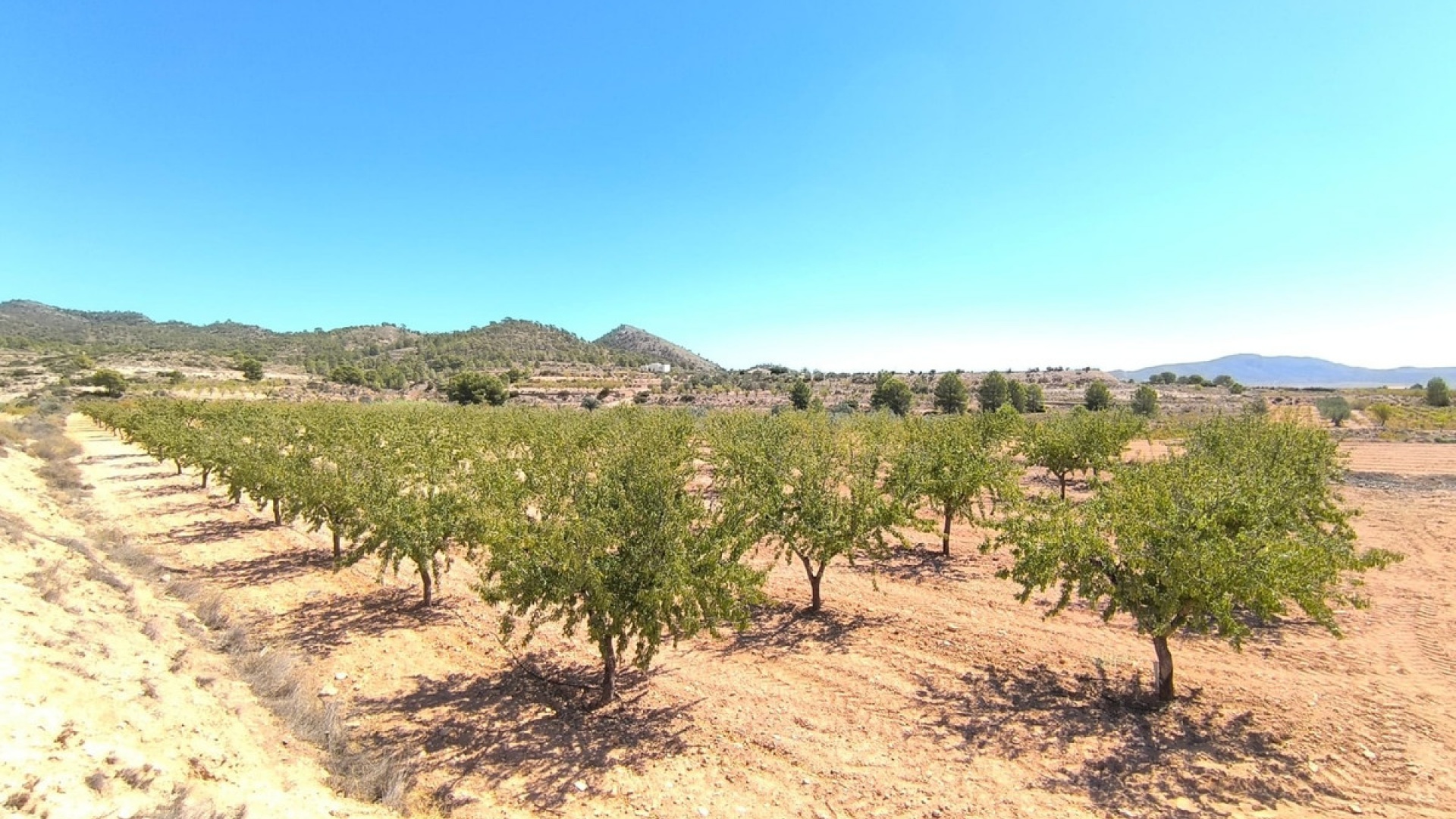 Wederverkoop - Land - Monóvar - Monòver - Monóvar - Monòver Centro