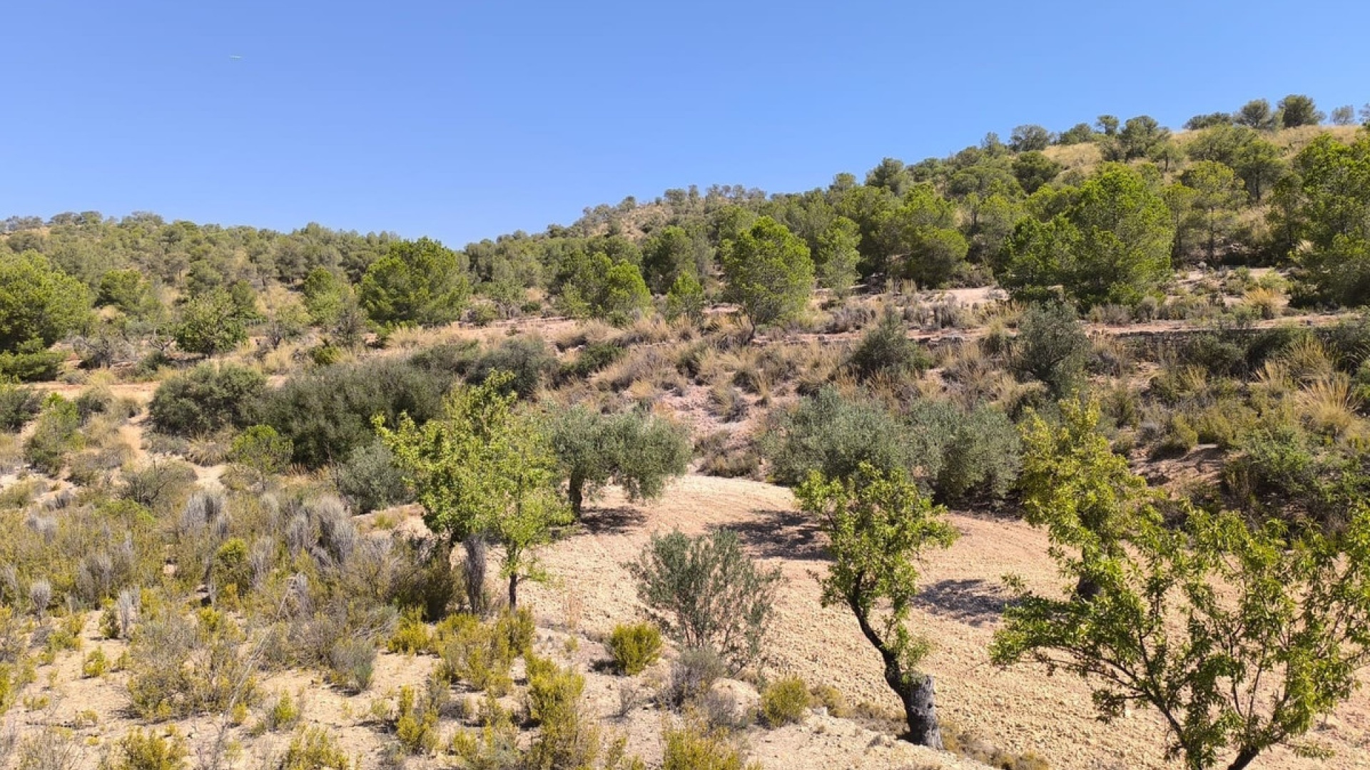 Wederverkoop - Land - Monóvar - Monòver - Monóvar - Monòver Centro