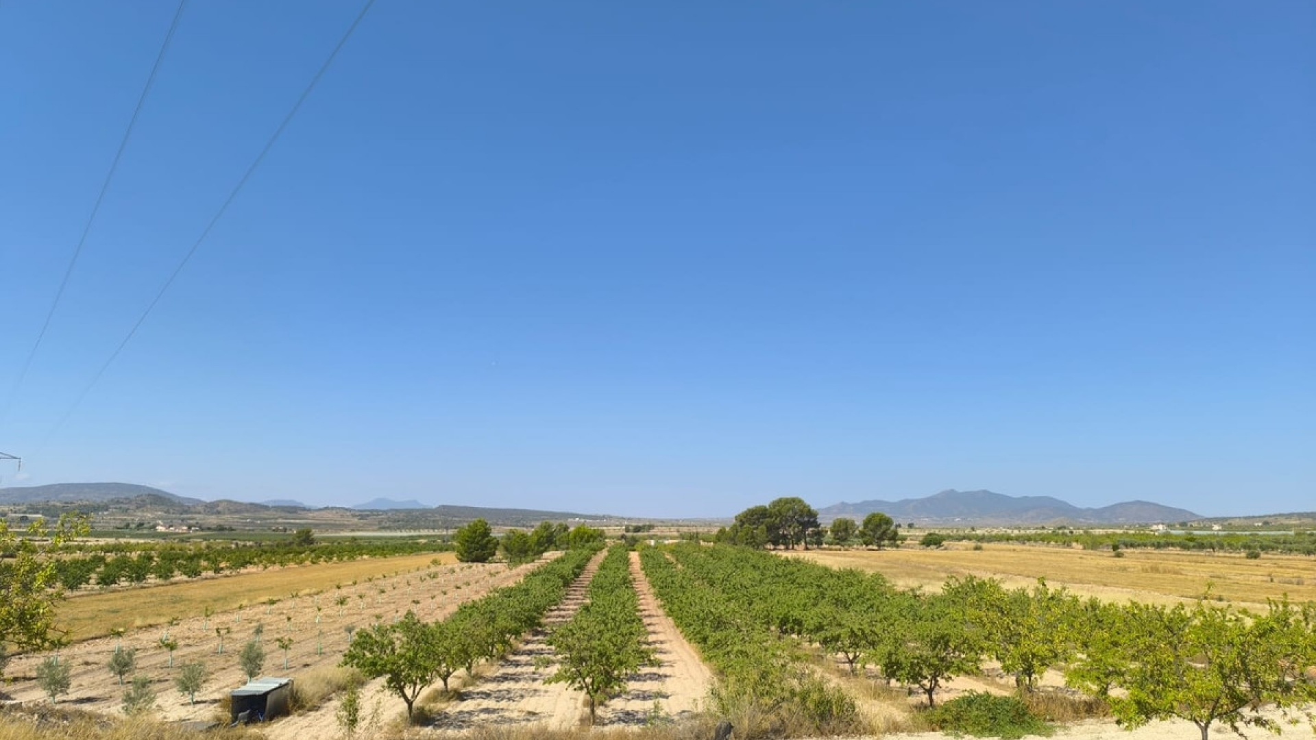 Wederverkoop - Land - Monóvar - Monòver - Monóvar - Monòver Centro