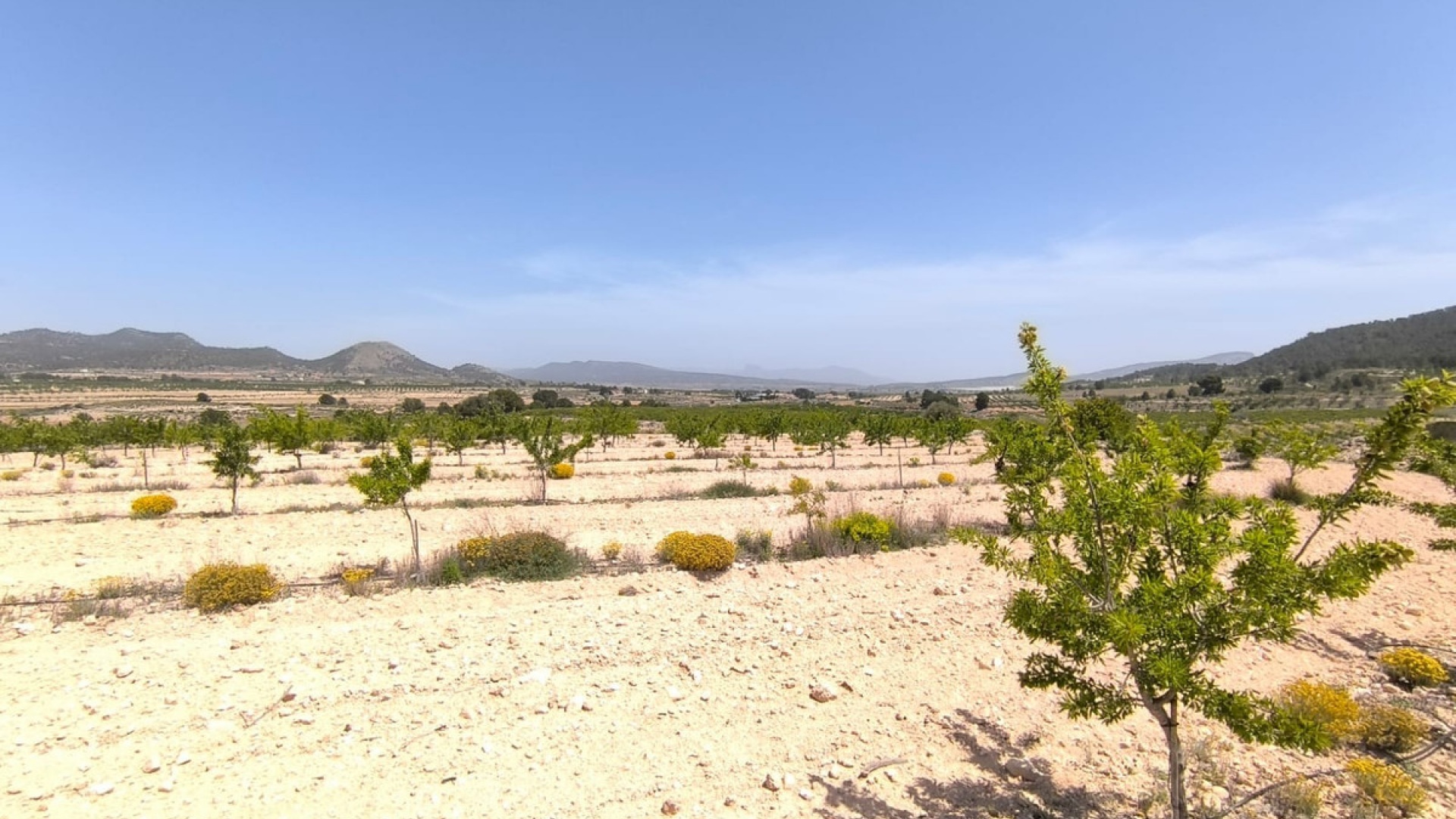 Wederverkoop - Land - Monóvar - Monòver - Monóvar - Monòver Centro