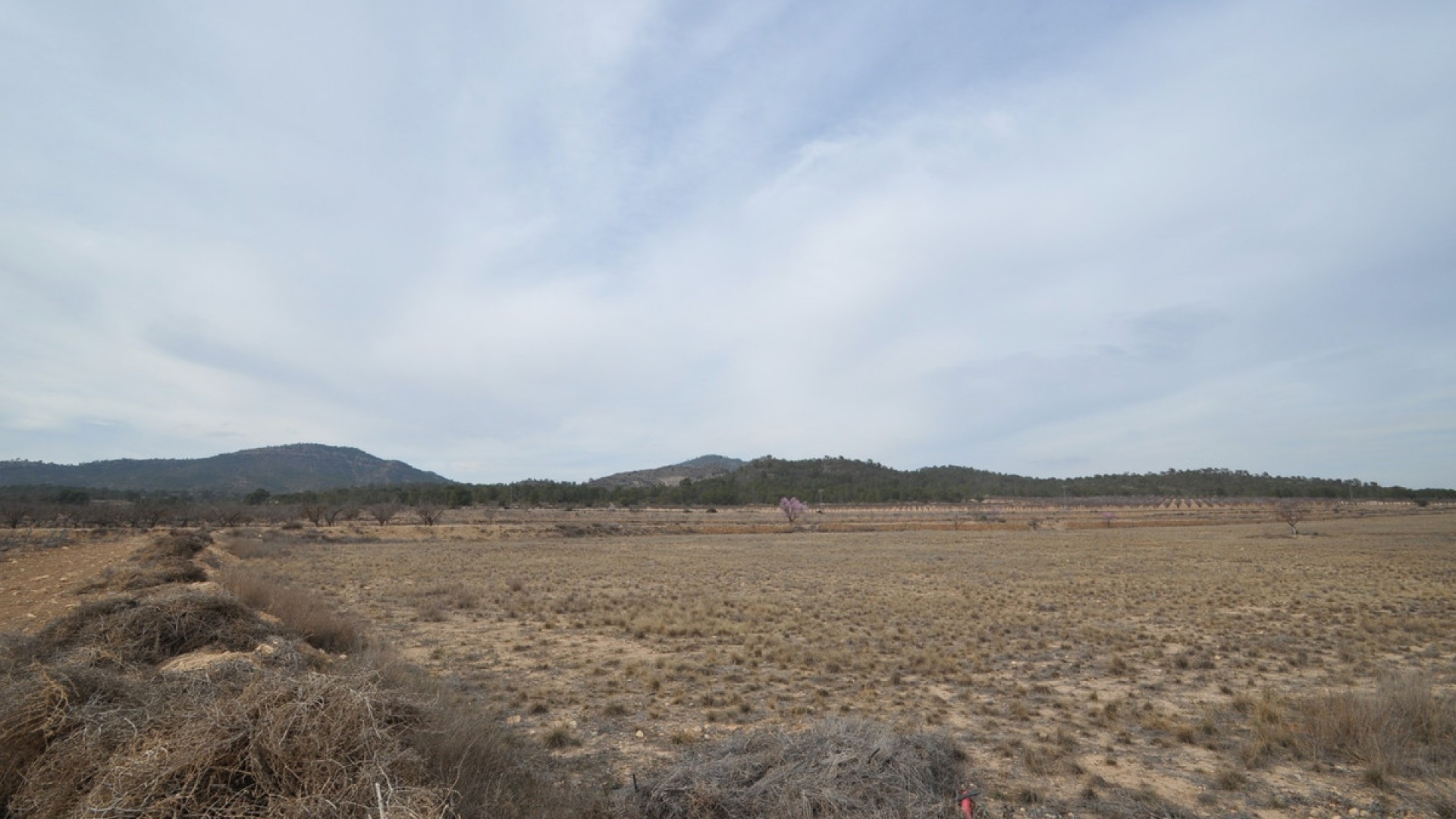 Wederverkoop - Land - Monóvar - Monòver - Monóvar - Monòver Centro