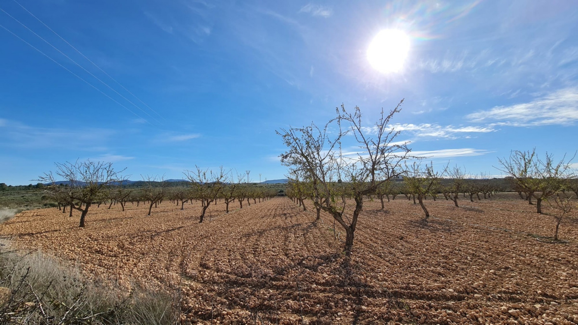 Wederverkoop - Land - Pinoso - Lel