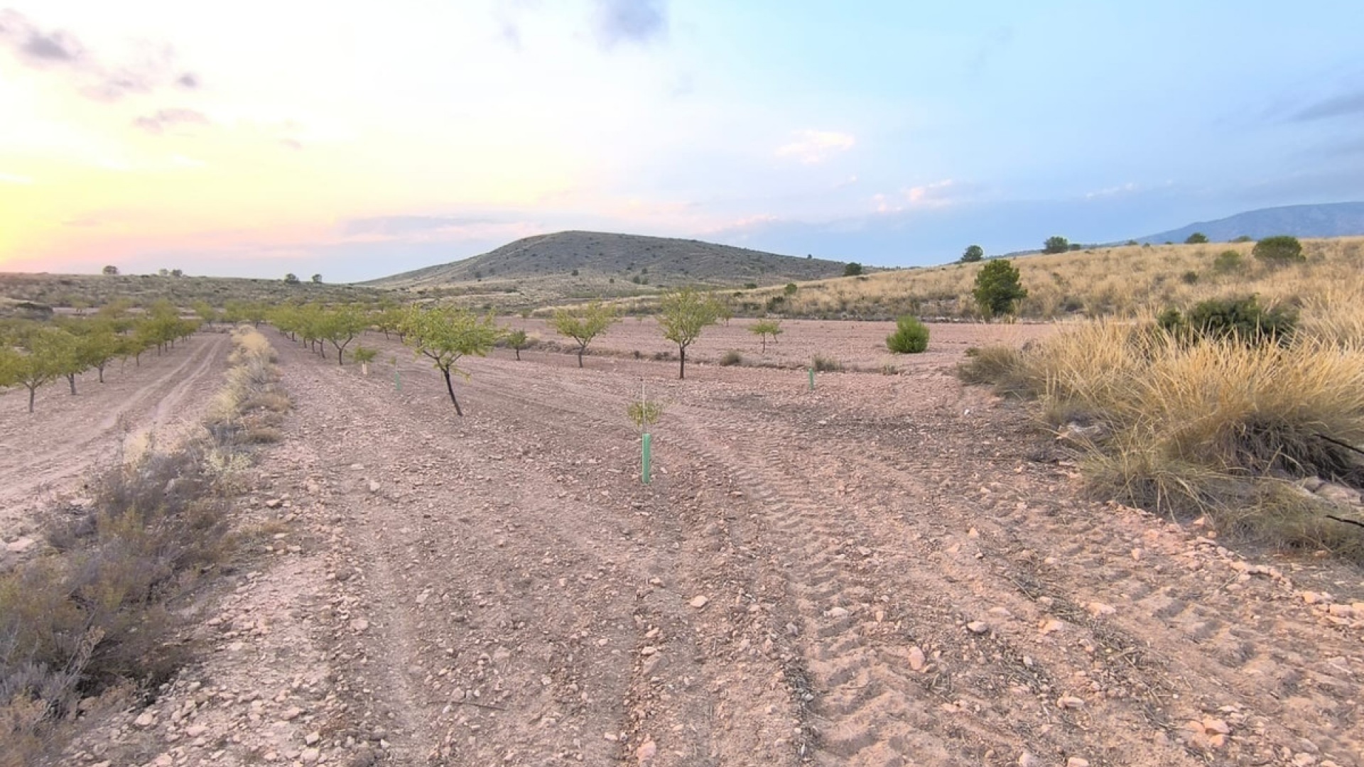 Wederverkoop - Land - Pinoso - Pinoso Centro