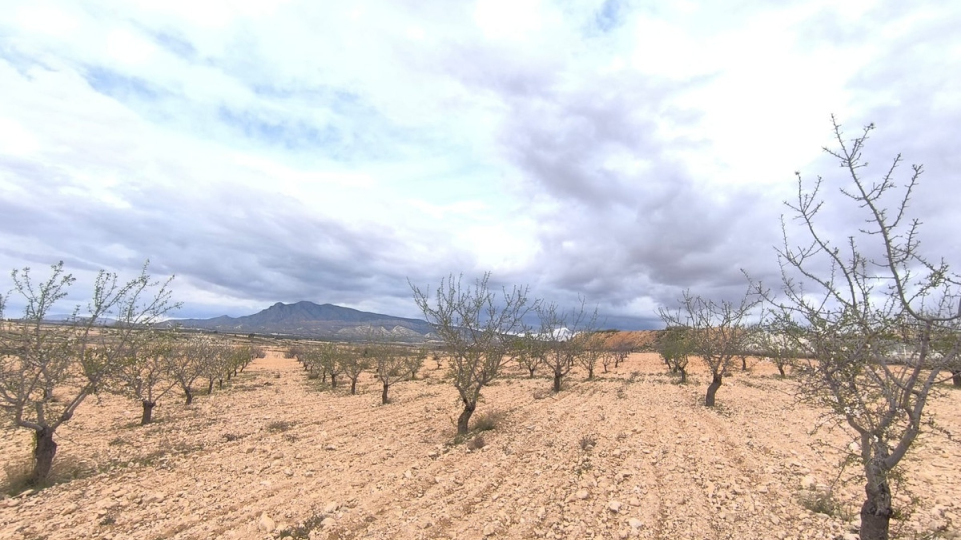 Wederverkoop - Land - Pinoso - Pinoso Centro