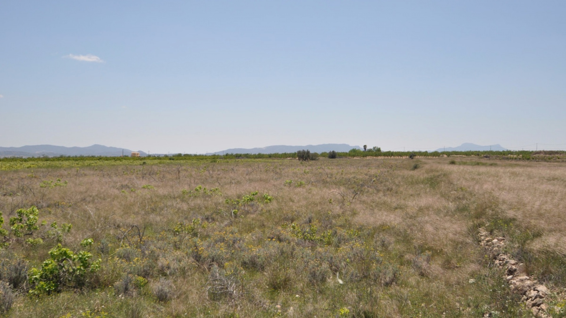 Wederverkoop - Land - Pinoso - Pinoso Centro