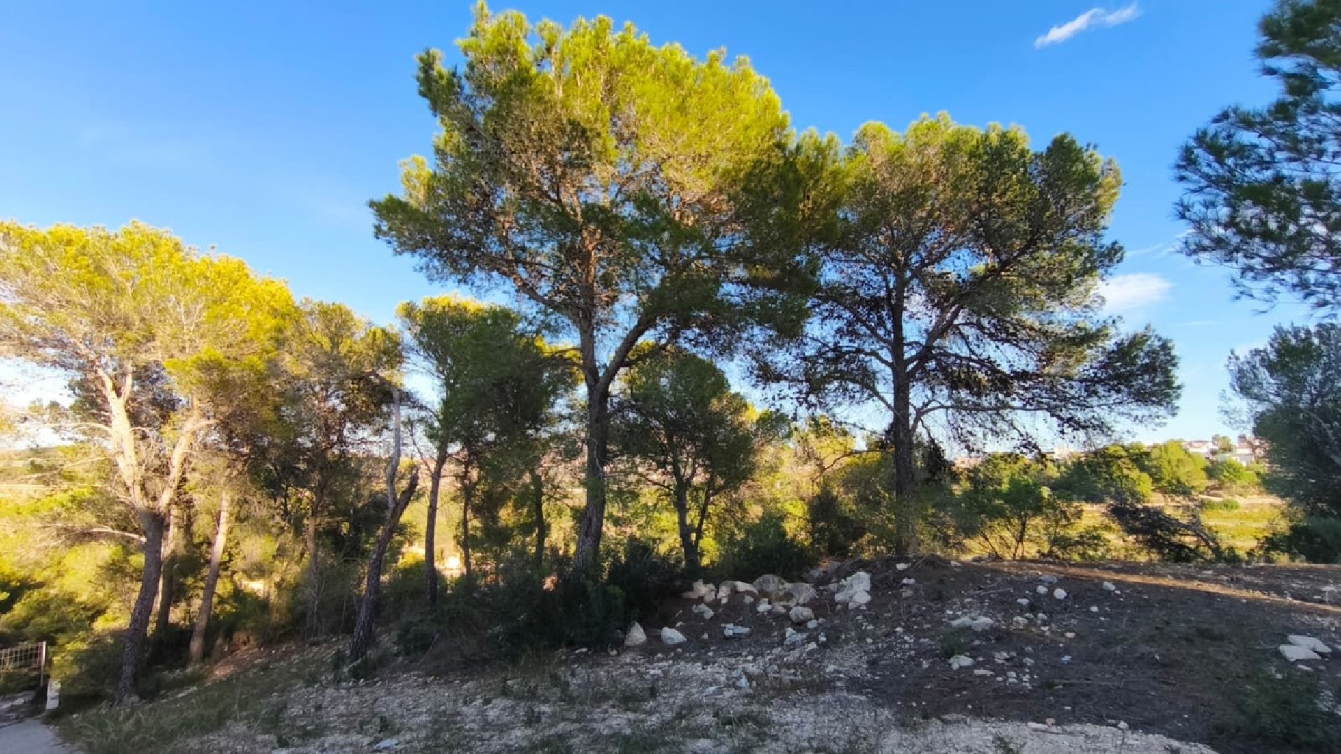 Wederverkoop - Land - Teulada - Teulada Centro