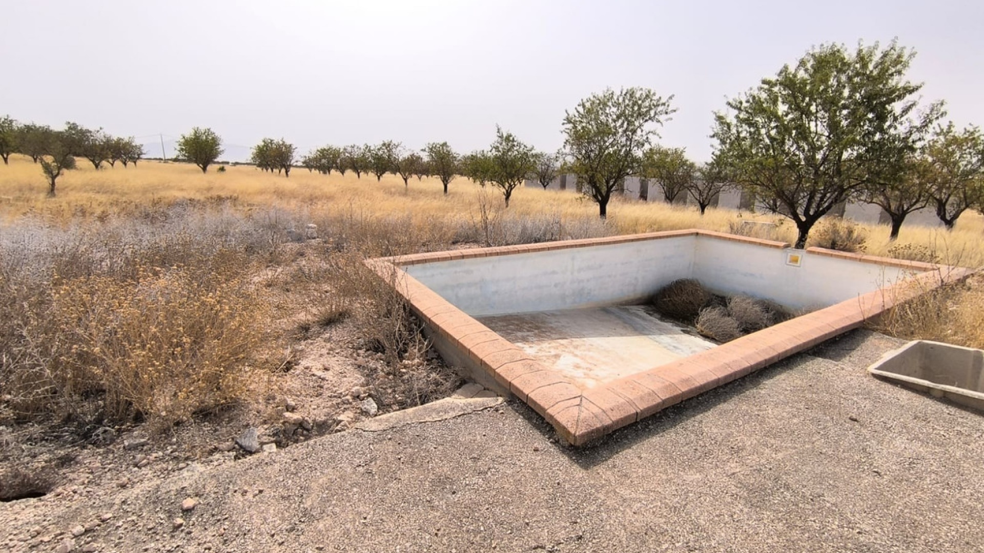 Wederverkoop - Land - Yecla - Yecla Centro