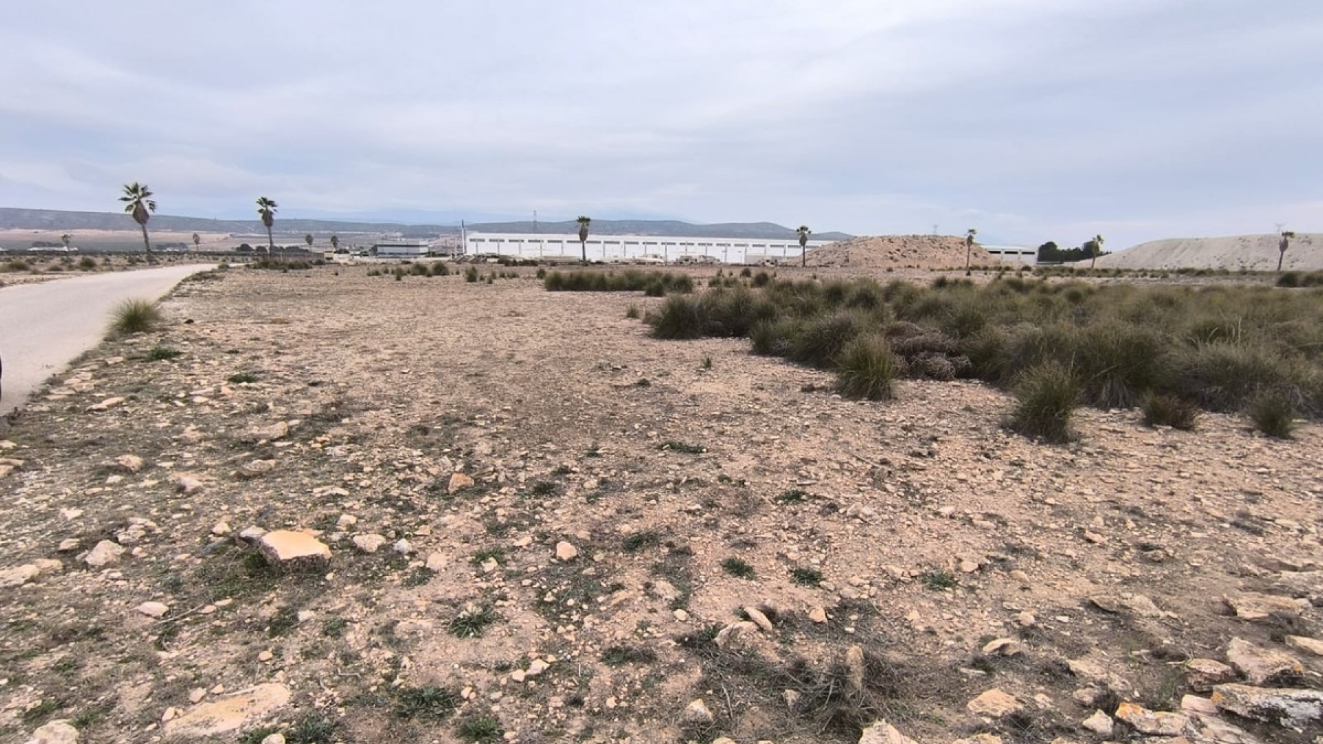 Wederverkoop - Land - Yecla - Yecla Centro