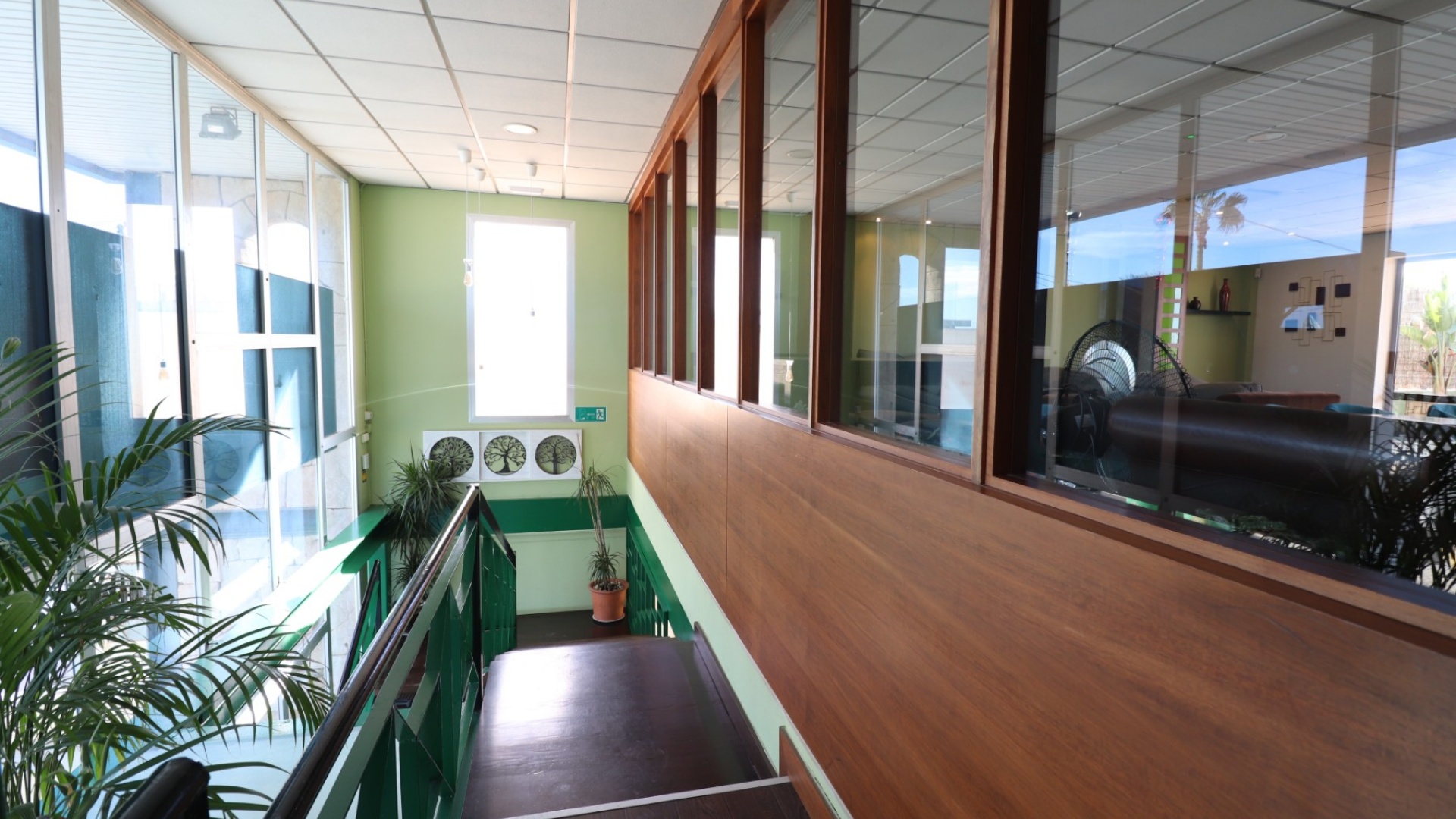 Wederverkoop - Reclame - Ciudad Quesada - Ciudad Quesada - Town