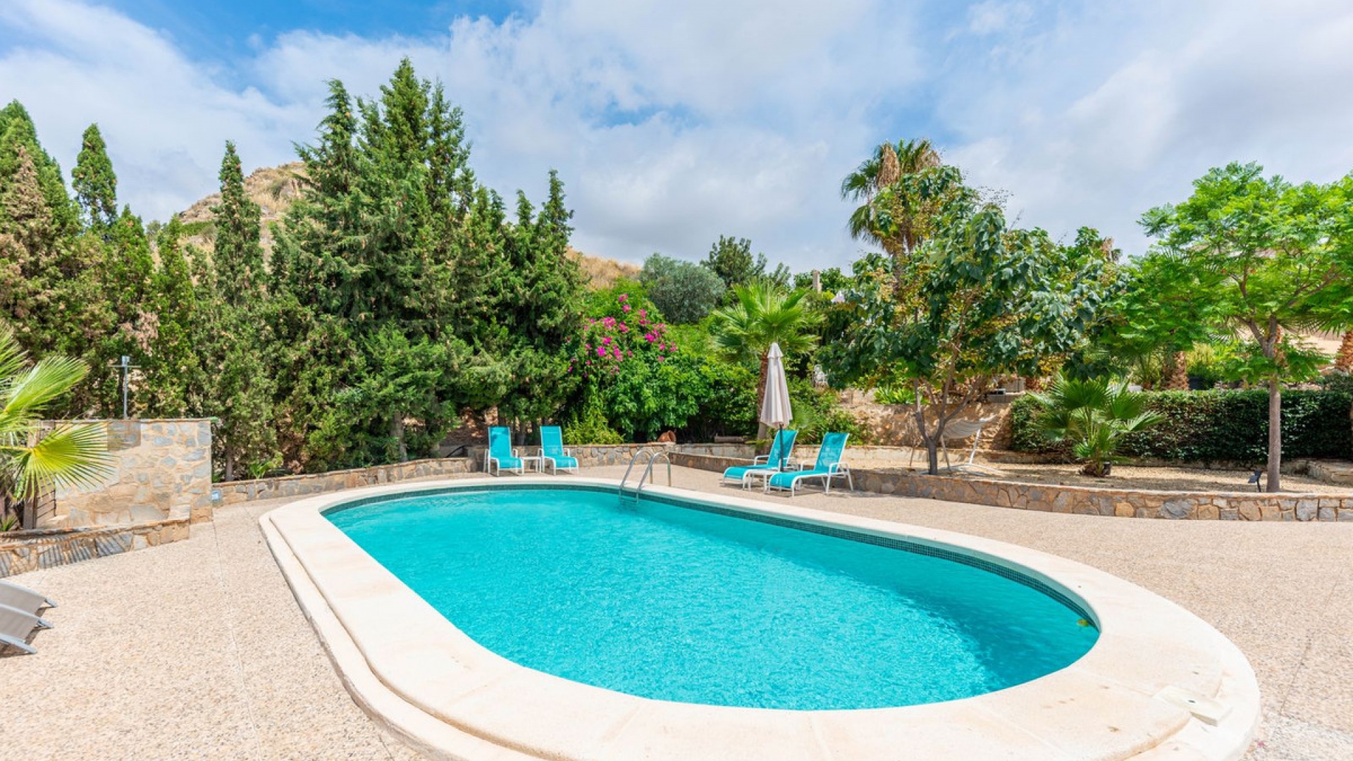 Wederverkoop - Reclame - San Vicente del Raspeig - San Vicente del Raspeig Centro