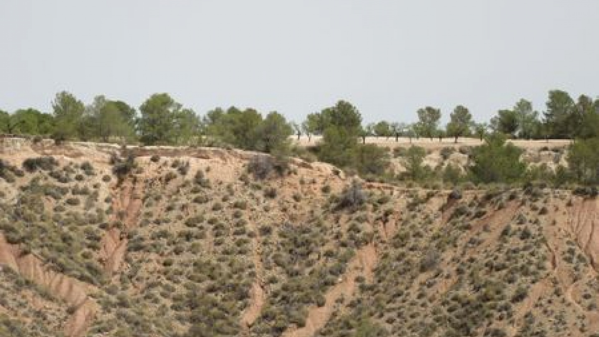 Wederverkoop - Verhaallijn - Murcia