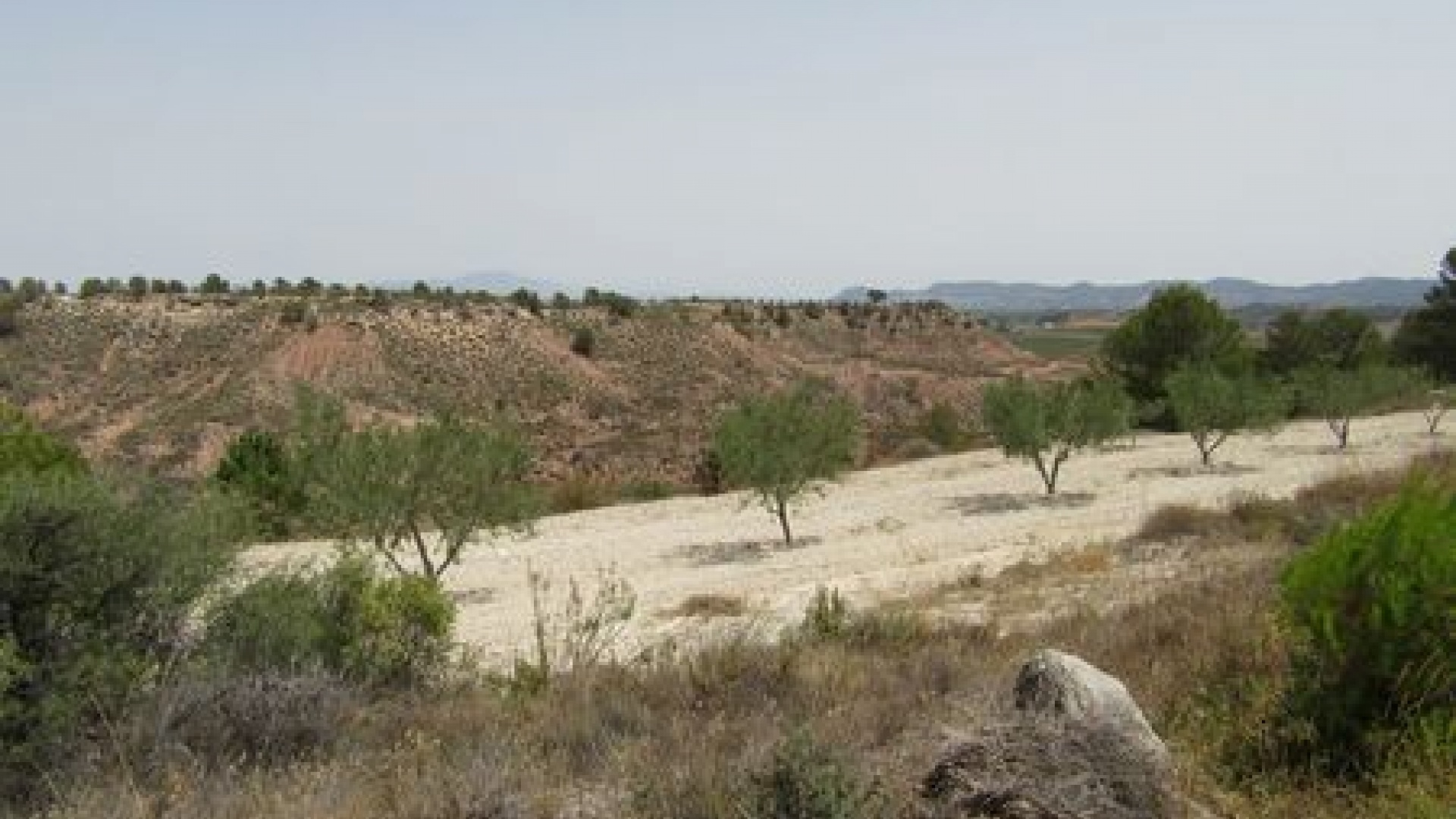 Wederverkoop - Verhaallijn - Murcia