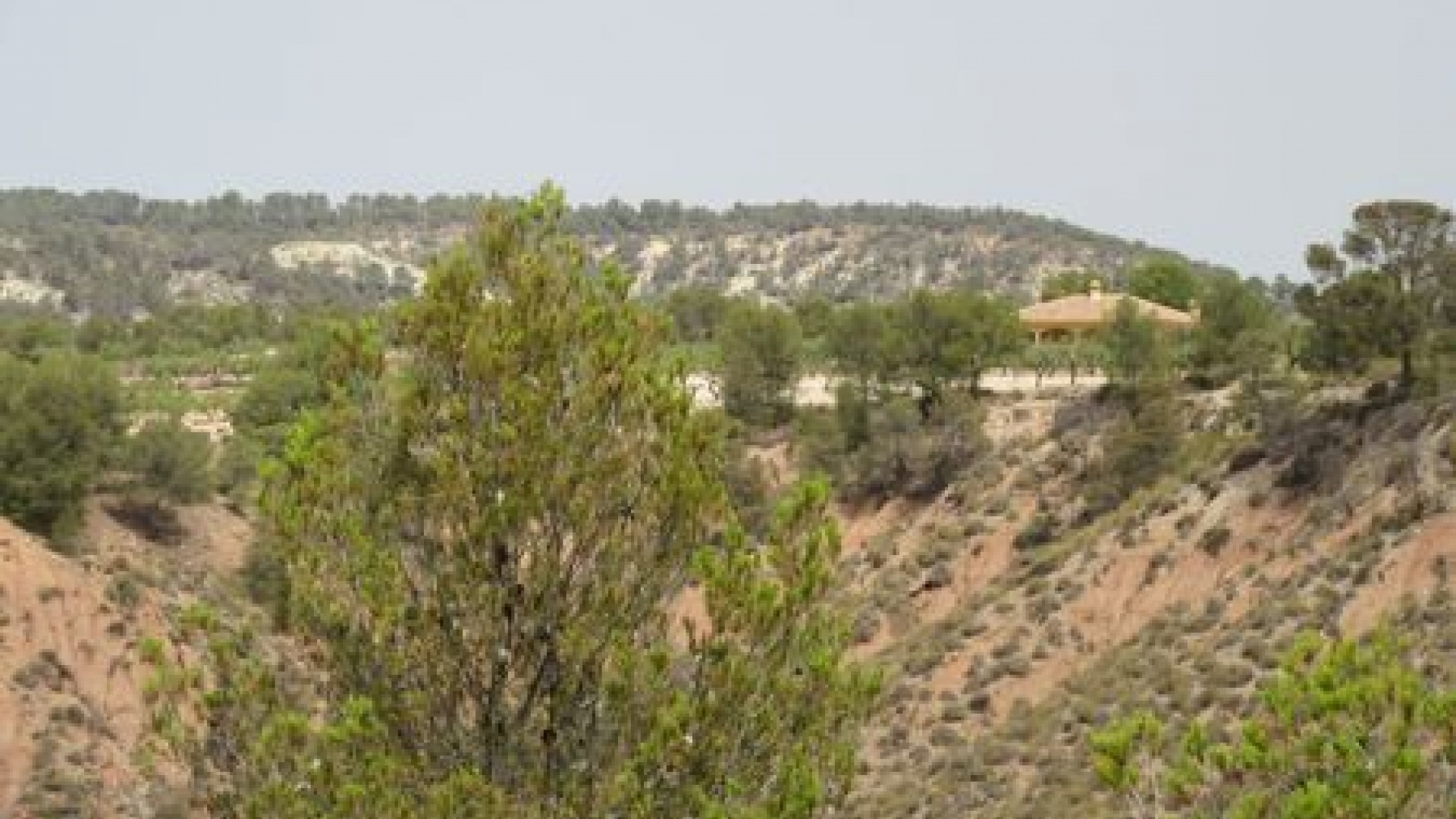 Wederverkoop - Verhaallijn - Murcia