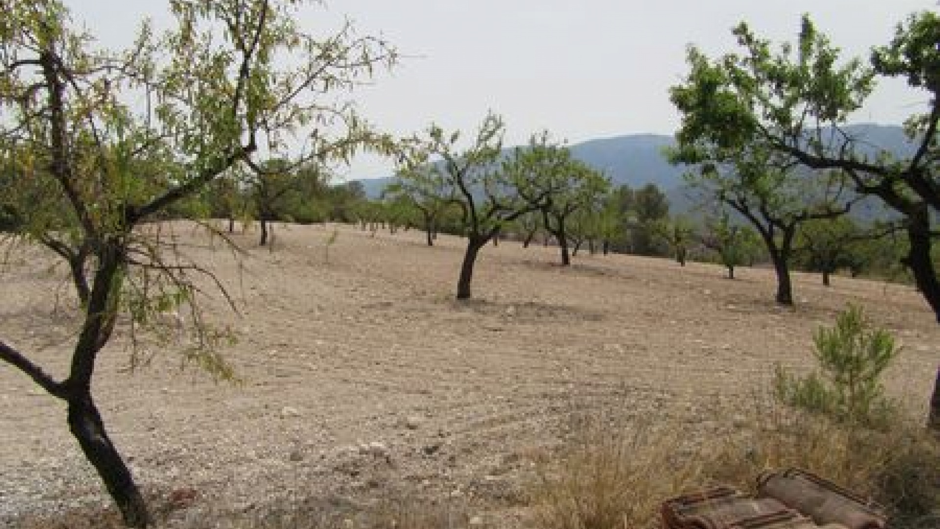 Wederverkoop - Verhaallijn - Murcia