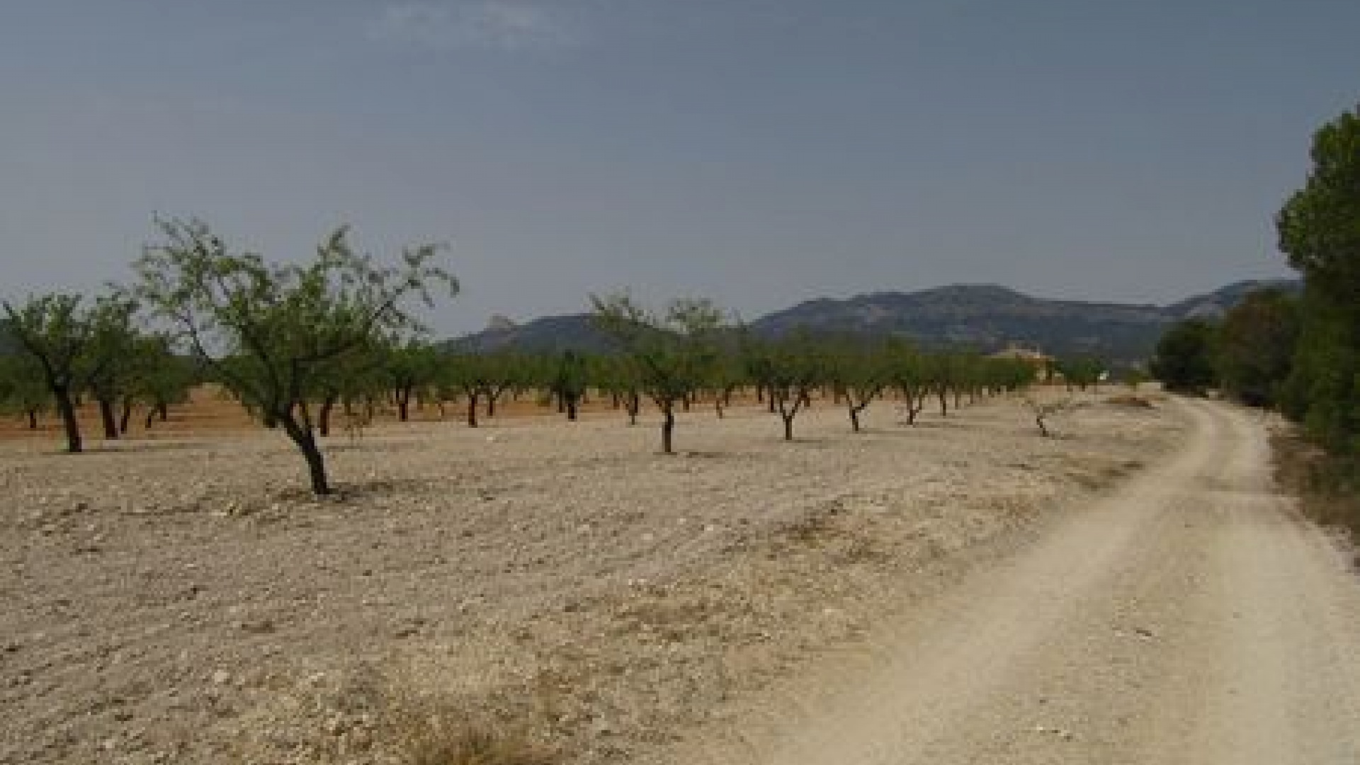 Wederverkoop - Verhaallijn - Murcia