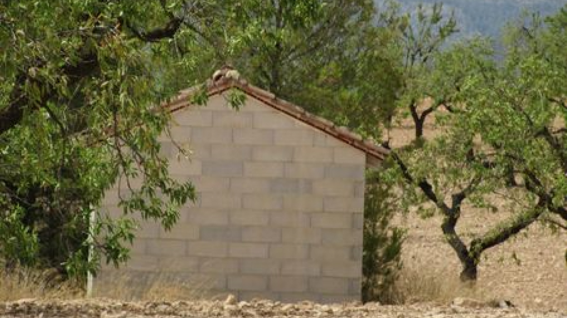 Wederverkoop - Verhaallijn - Murcia