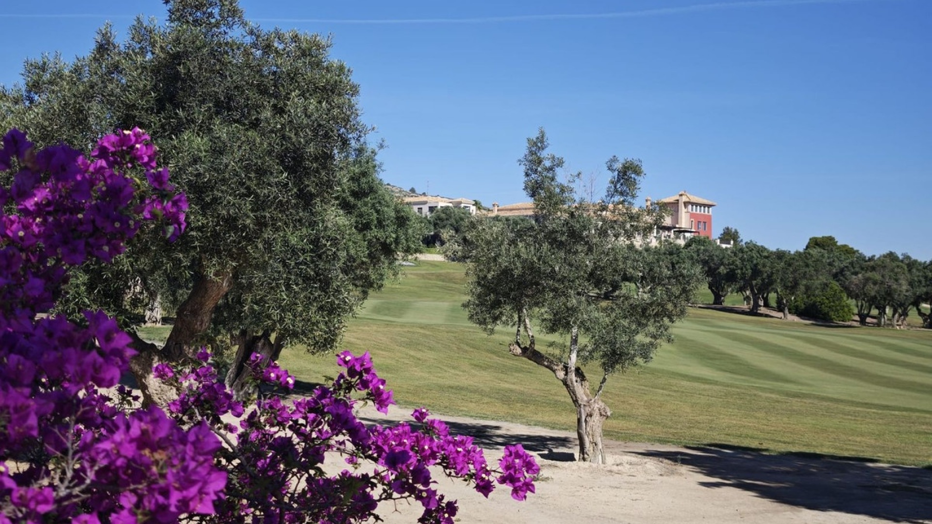 Wederverkoop - Villa - Algorfa - Algorfa Centro