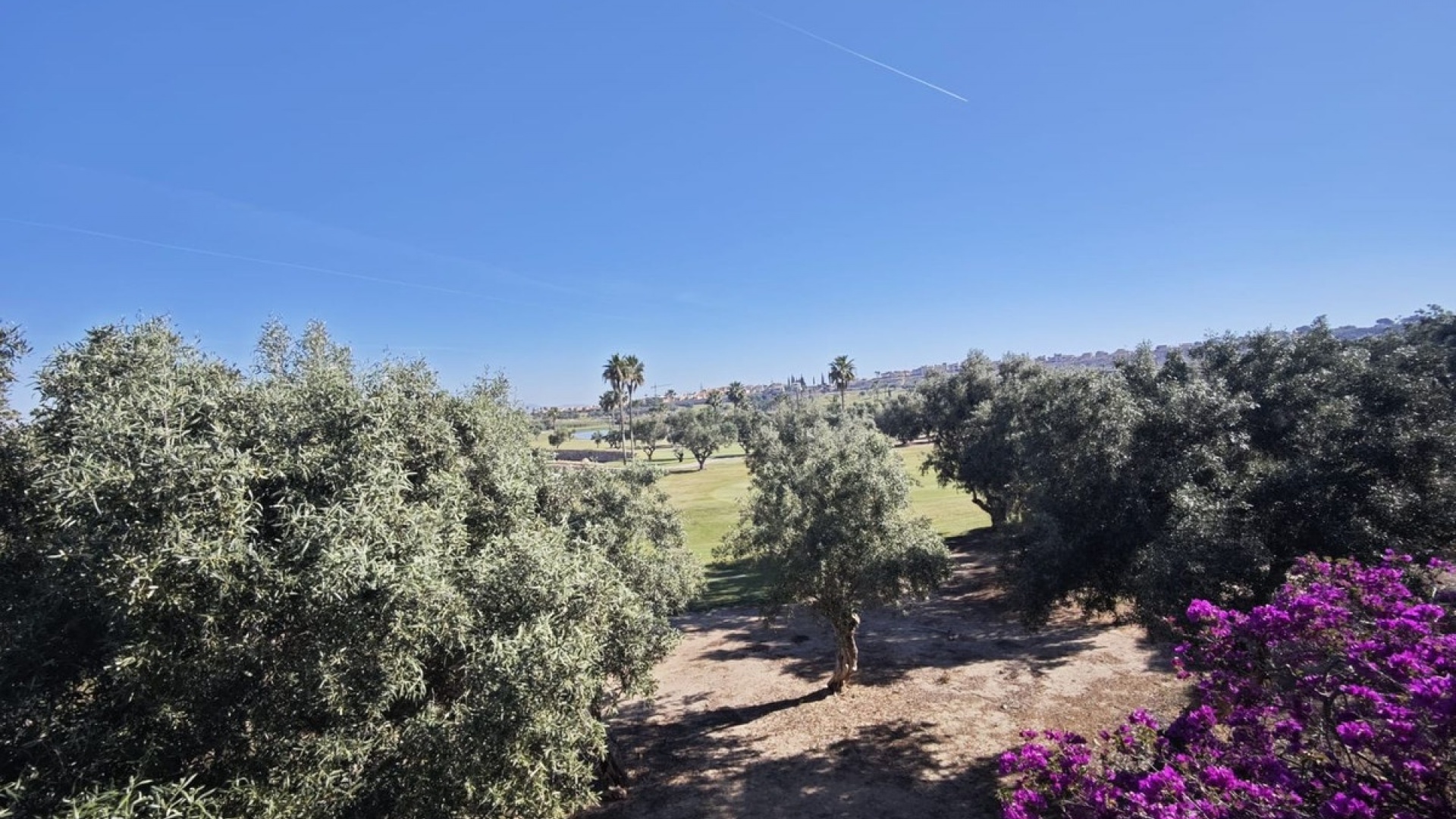 Wederverkoop - Villa - Algorfa - Algorfa Centro