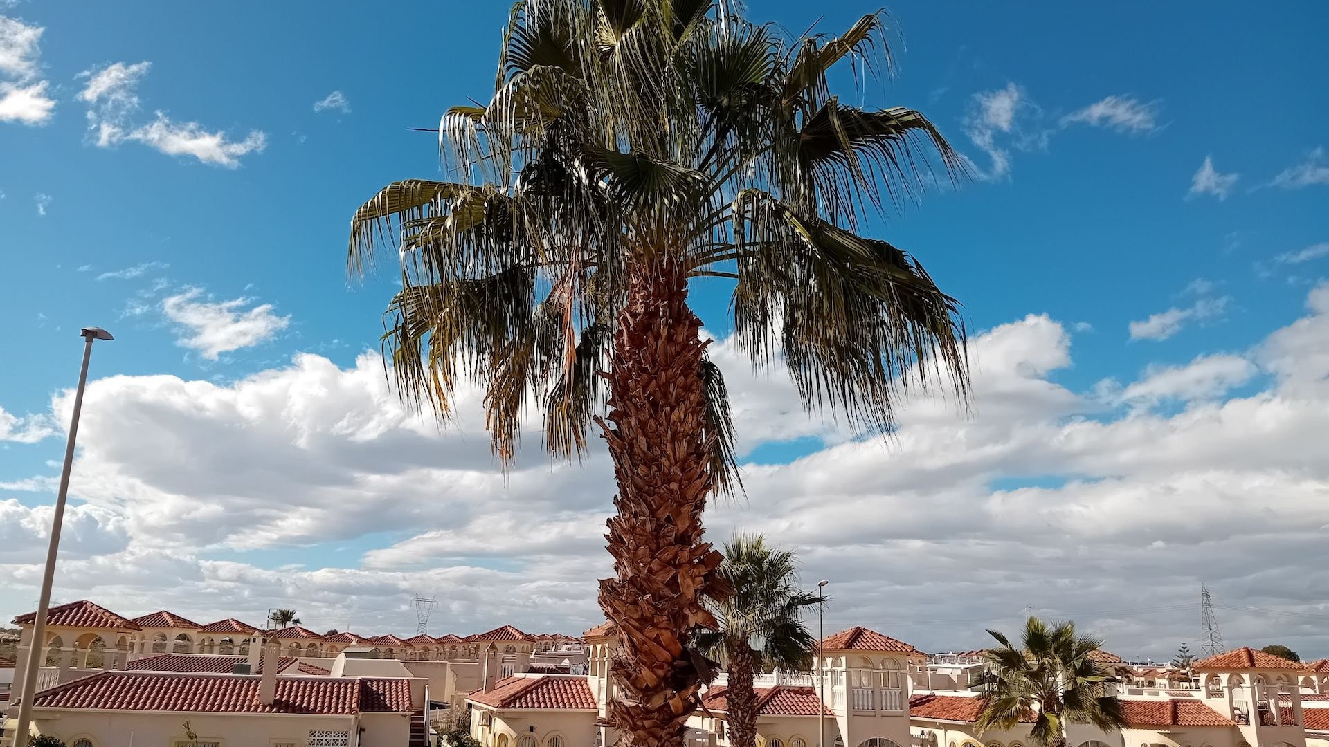 Wederverkoop - Villa - Algorfa - Lo Crispin