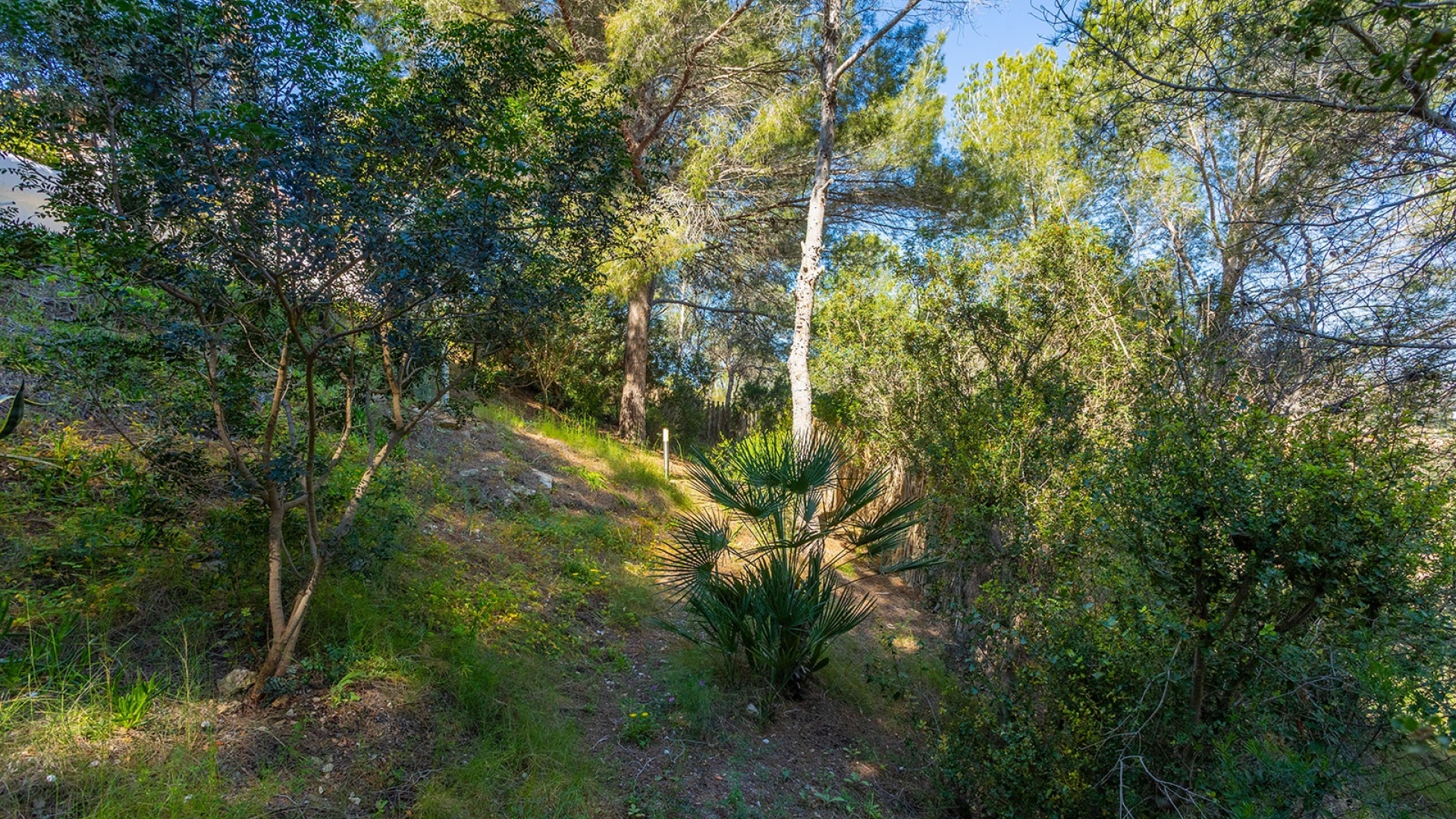 Wederverkoop - Villa - Campoamor - Castillo de Don Juan