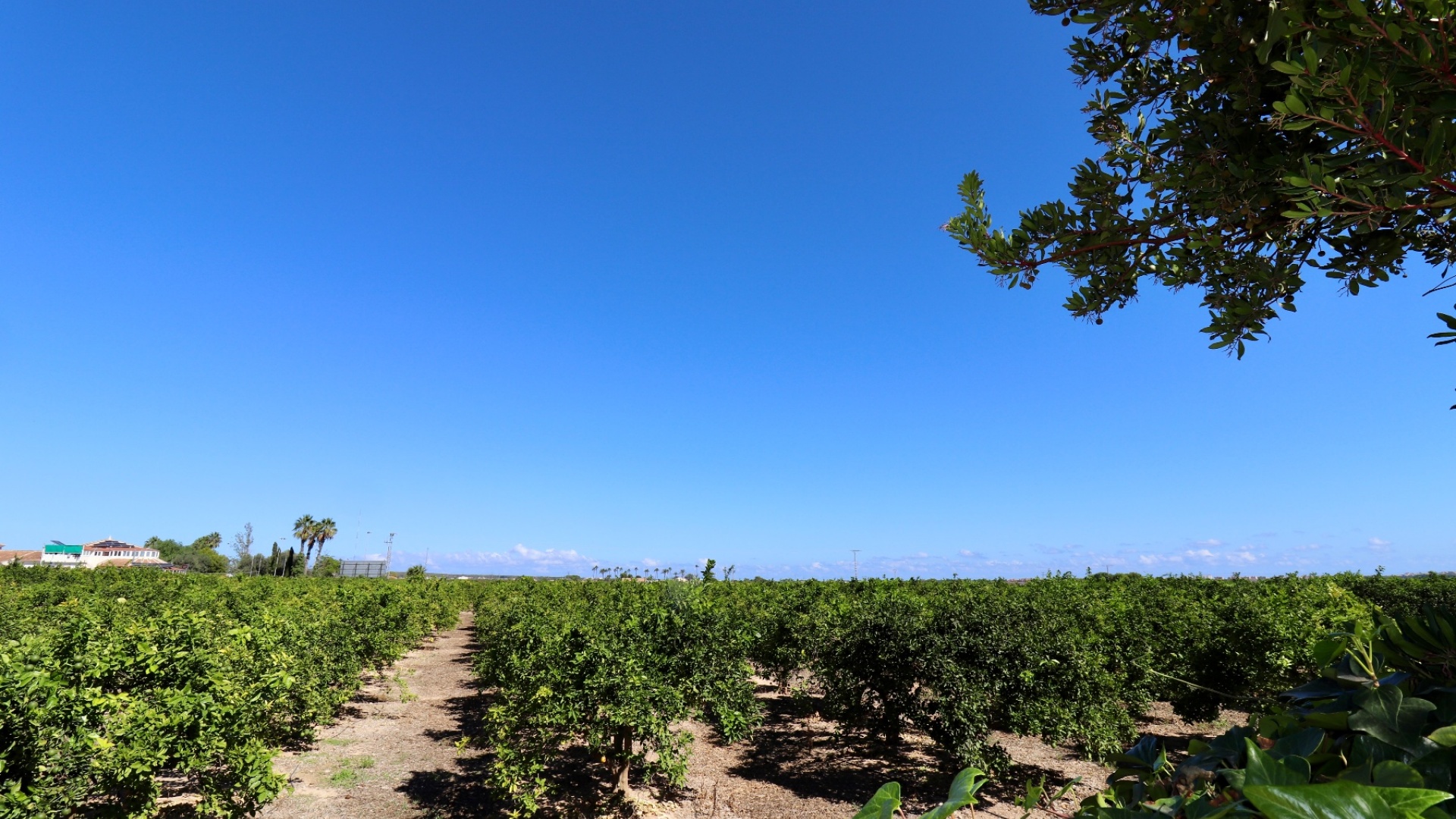 Wederverkoop - Villa - Ciudad Quesada - Dona Pepa