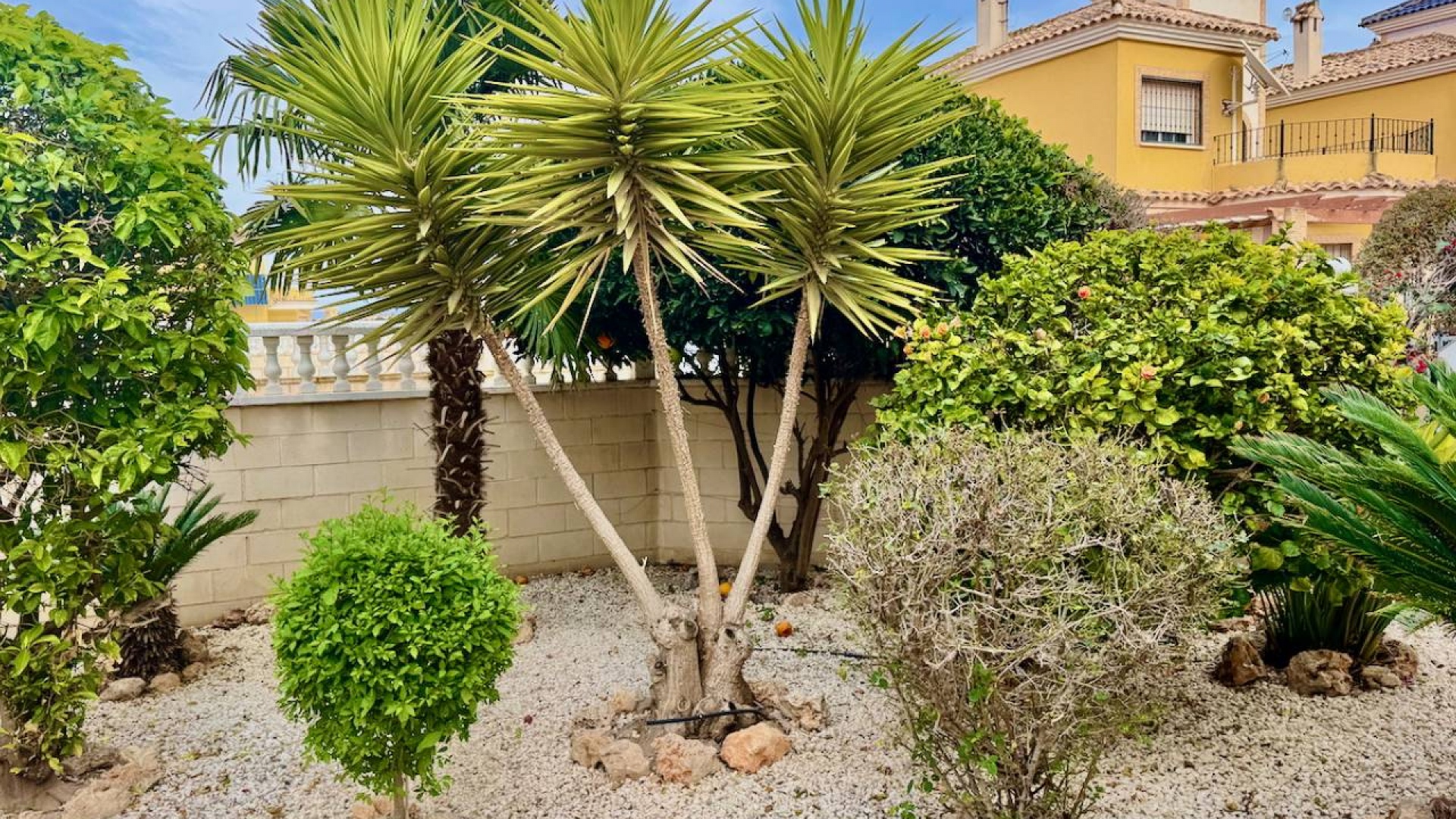 Wederverkoop - Villa - Ciudad Quesada - Lo Crispín