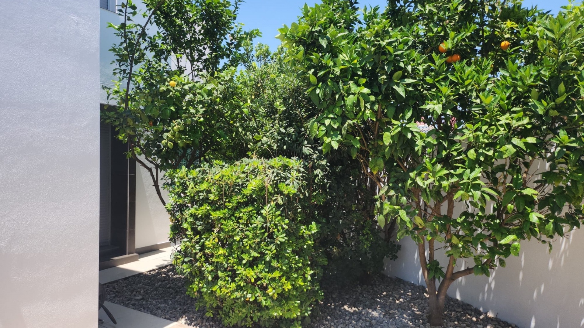 Wederverkoop - Villa - Ciudad Quesada - Pueblo Bravo