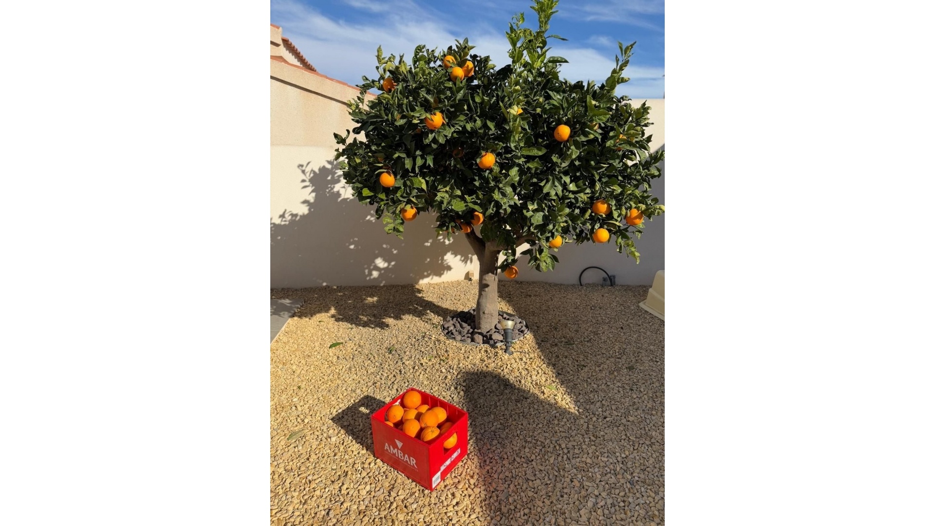 Wederverkoop - Villa - Ciudad Quesada