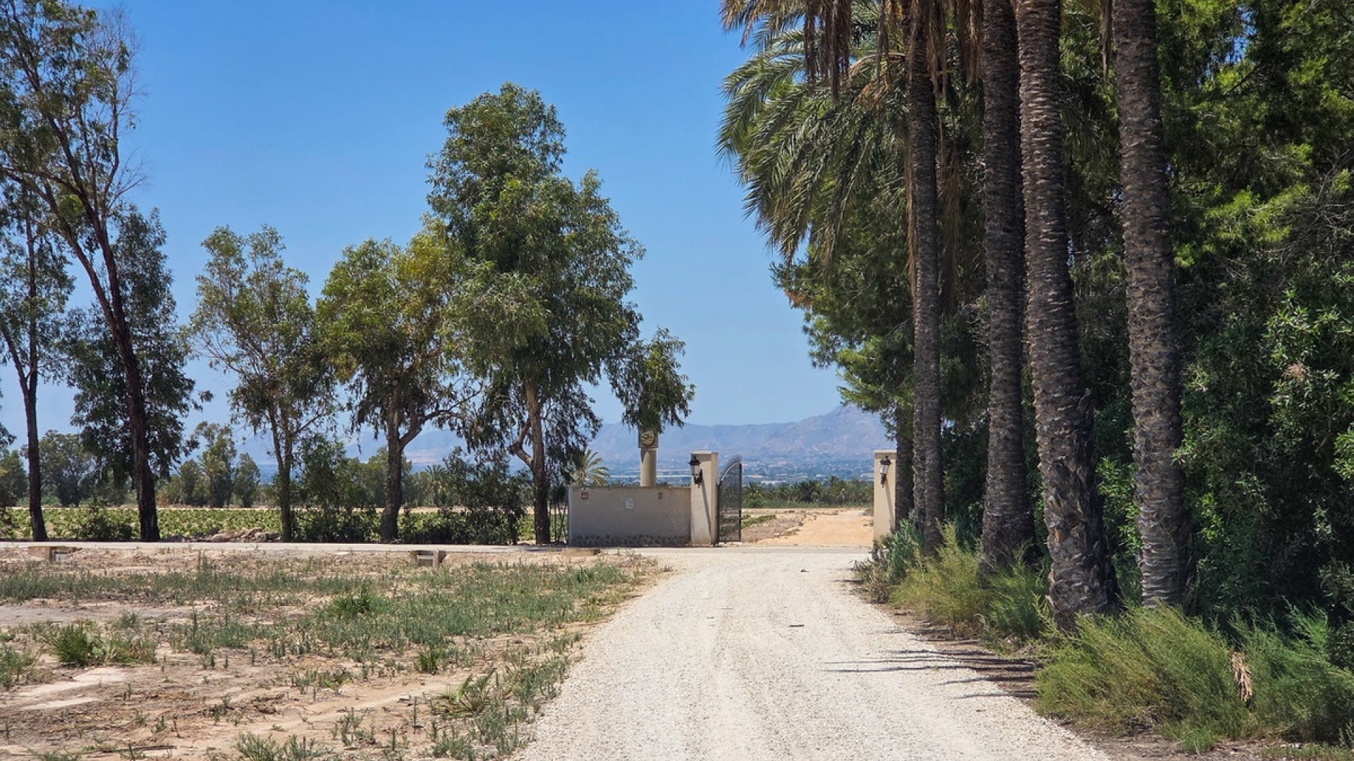 Wederverkoop - Villa - Elche - Elche Centro