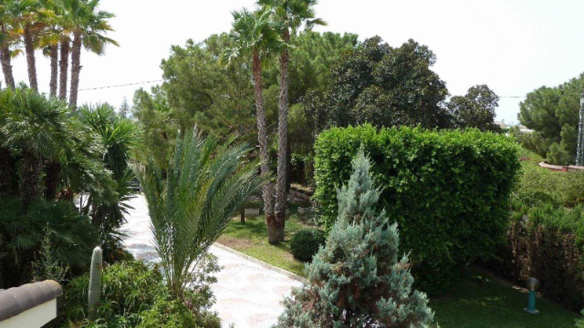 Wederverkoop - Villa - elche - la hoya