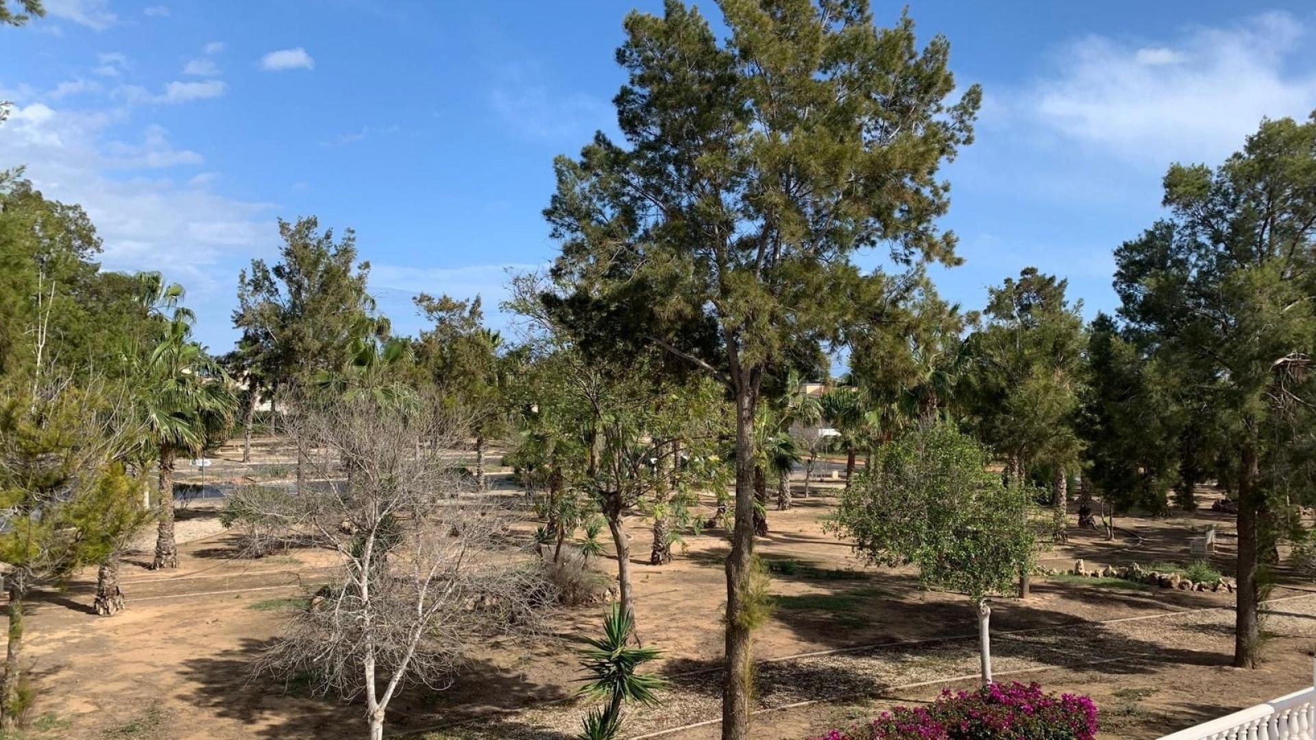 Wederverkoop - Villa - Guardamar del Segura - El Raso