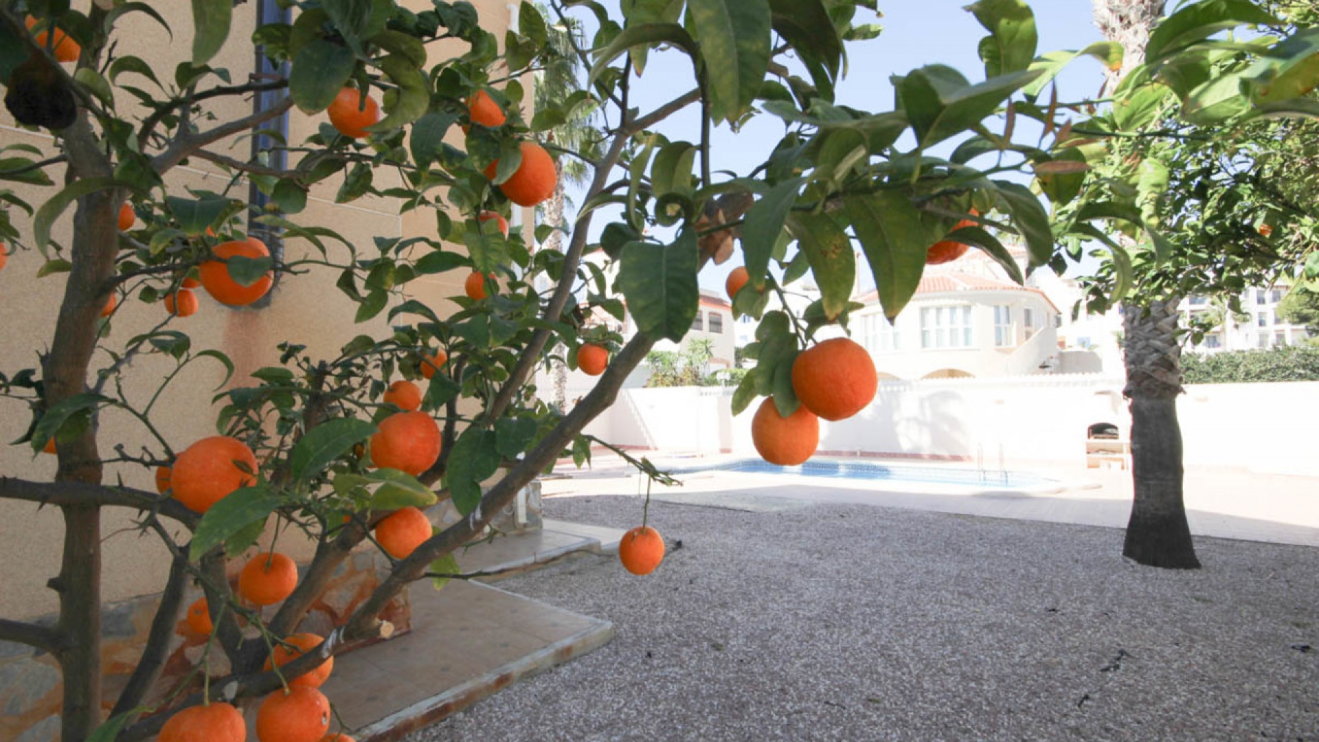 Wederverkoop - Villa - La Zenia