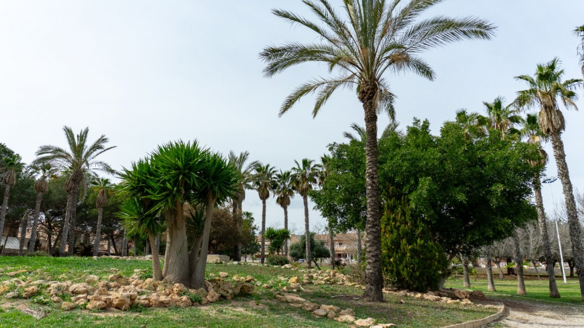 Wederverkoop - Villa - Los Altos