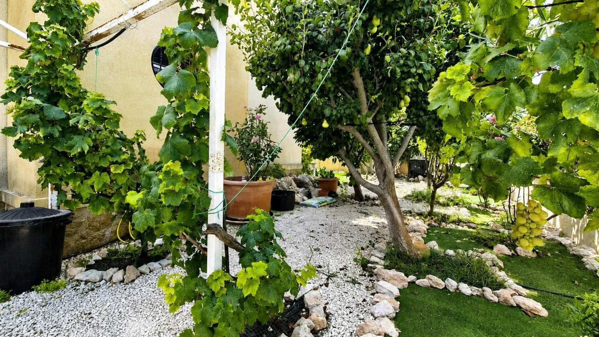 Wederverkoop - Villa - Orihuela - Cabo Roig