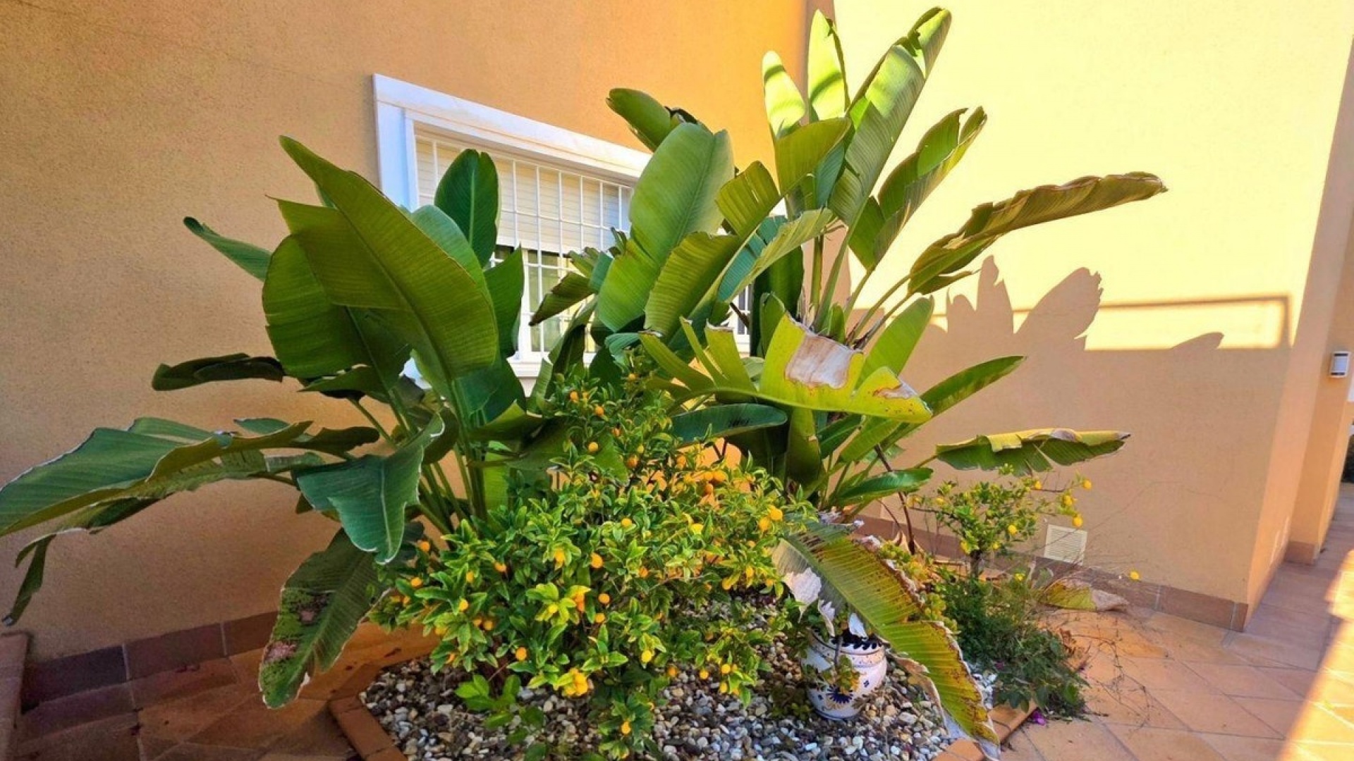 Wederverkoop - Villa - Orihuela - Campoamor