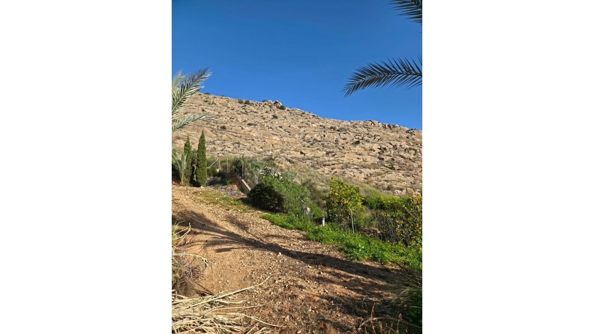 Wederverkoop - Villa - Orihuela - Orihuela Centro