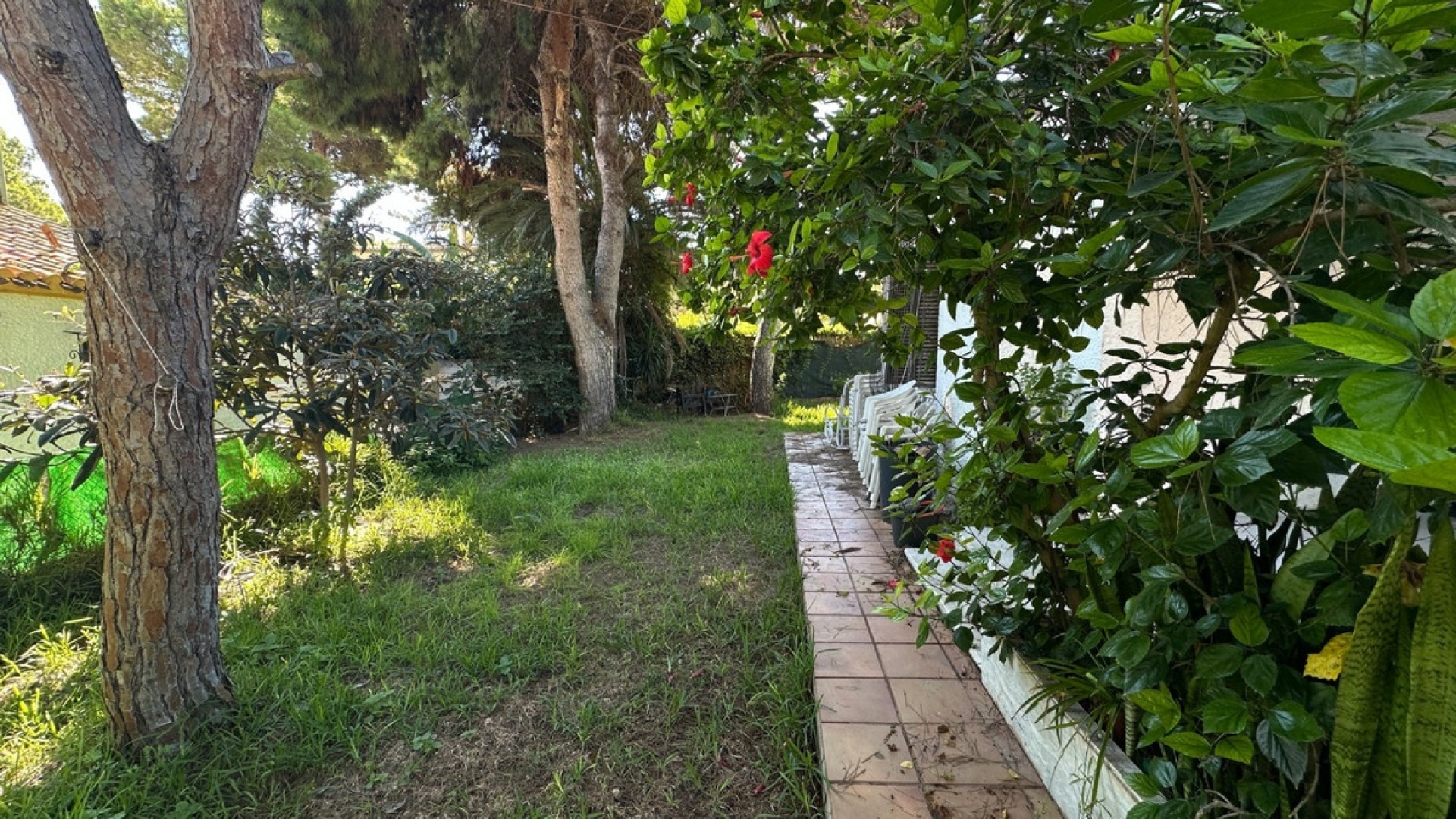 Wederverkoop - Villa - Orihuela - Punta Prima