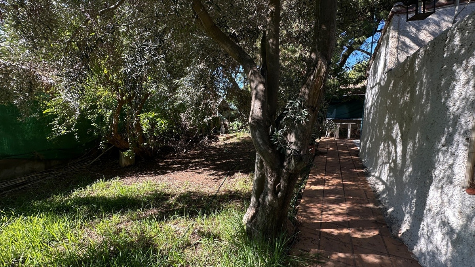 Wederverkoop - Villa - Orihuela - Punta Prima