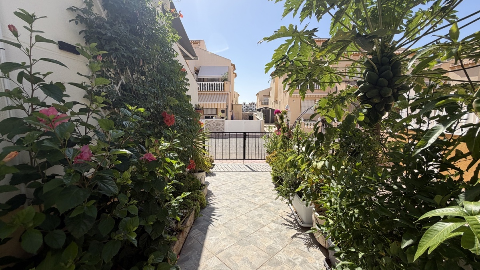 Wederverkoop - Villa - Punta Prima - los naranjos