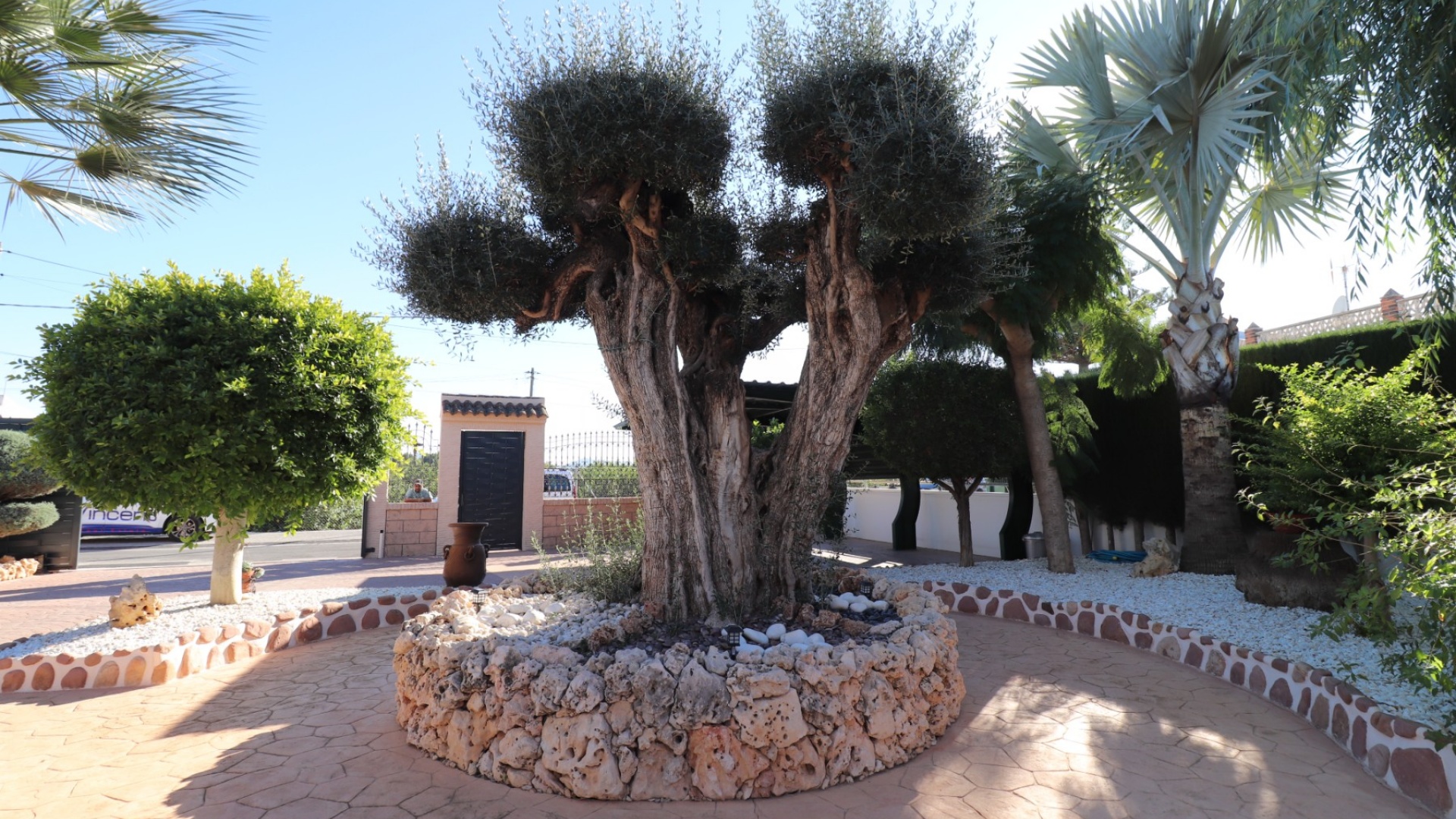 Wederverkoop - Villa - Rafal - Rafal - Country