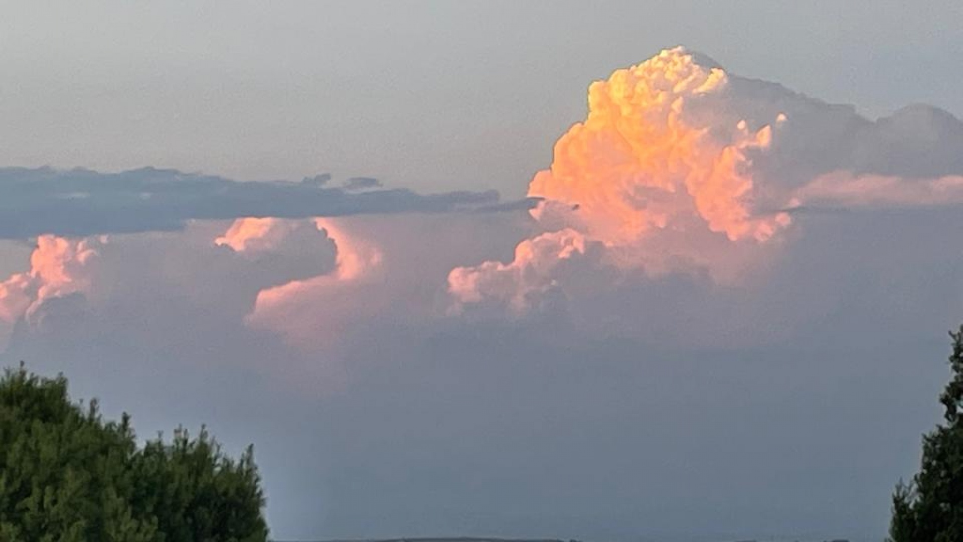 Wederverkoop - Villa - San Miguel de Salinas - las comunicaciones